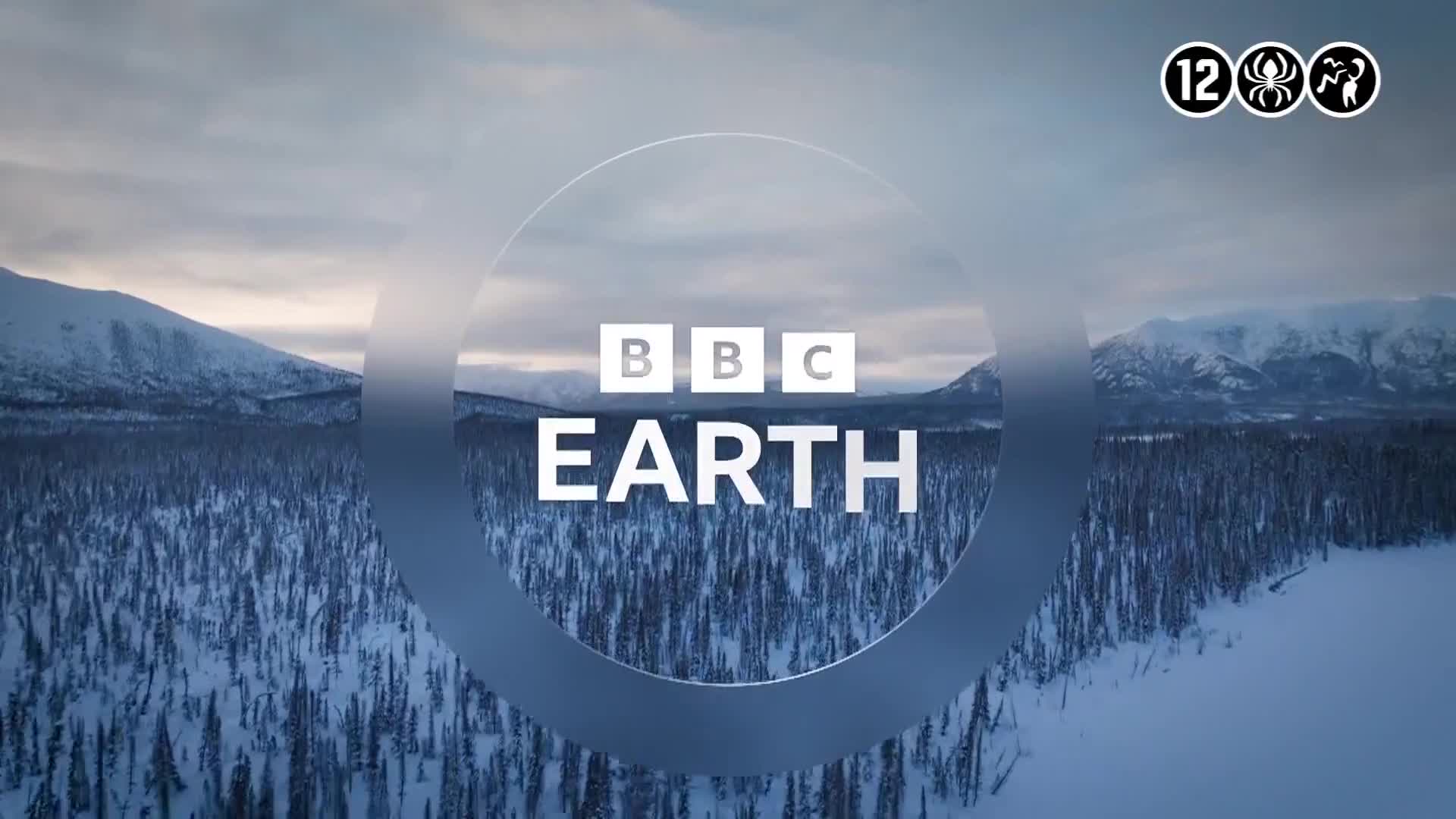 BBCEarth