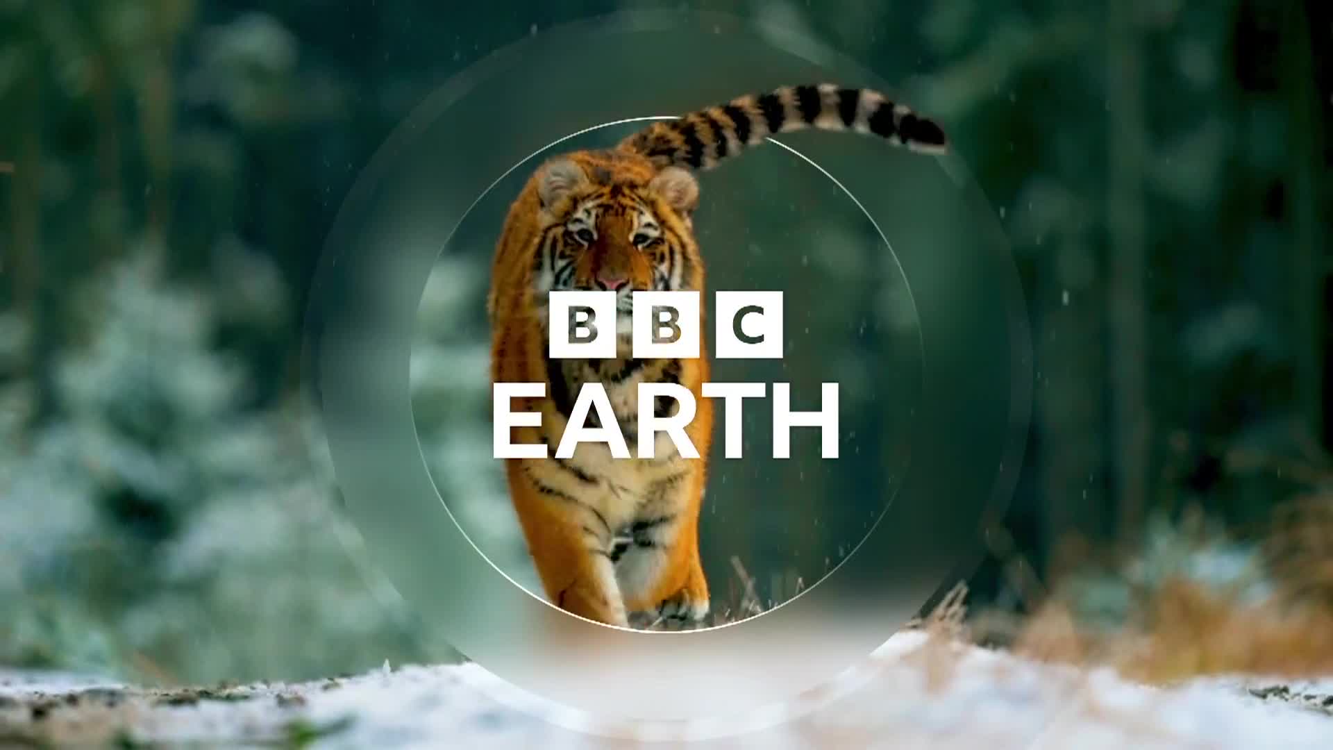 BBCEarth