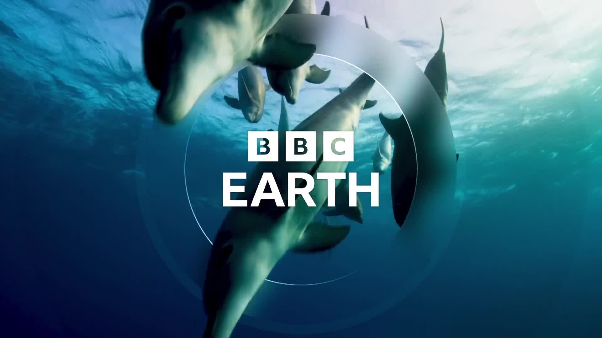 BBCEarth