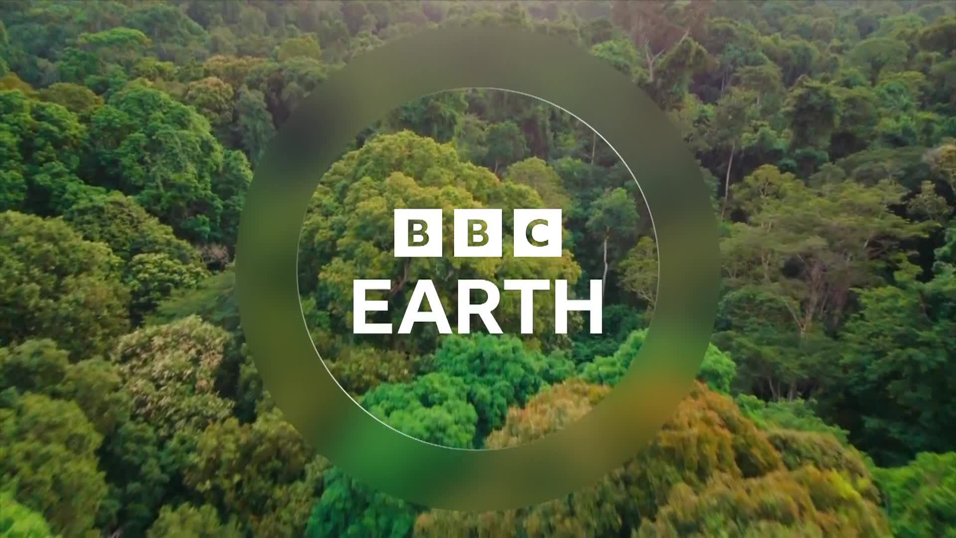 BBCEarth