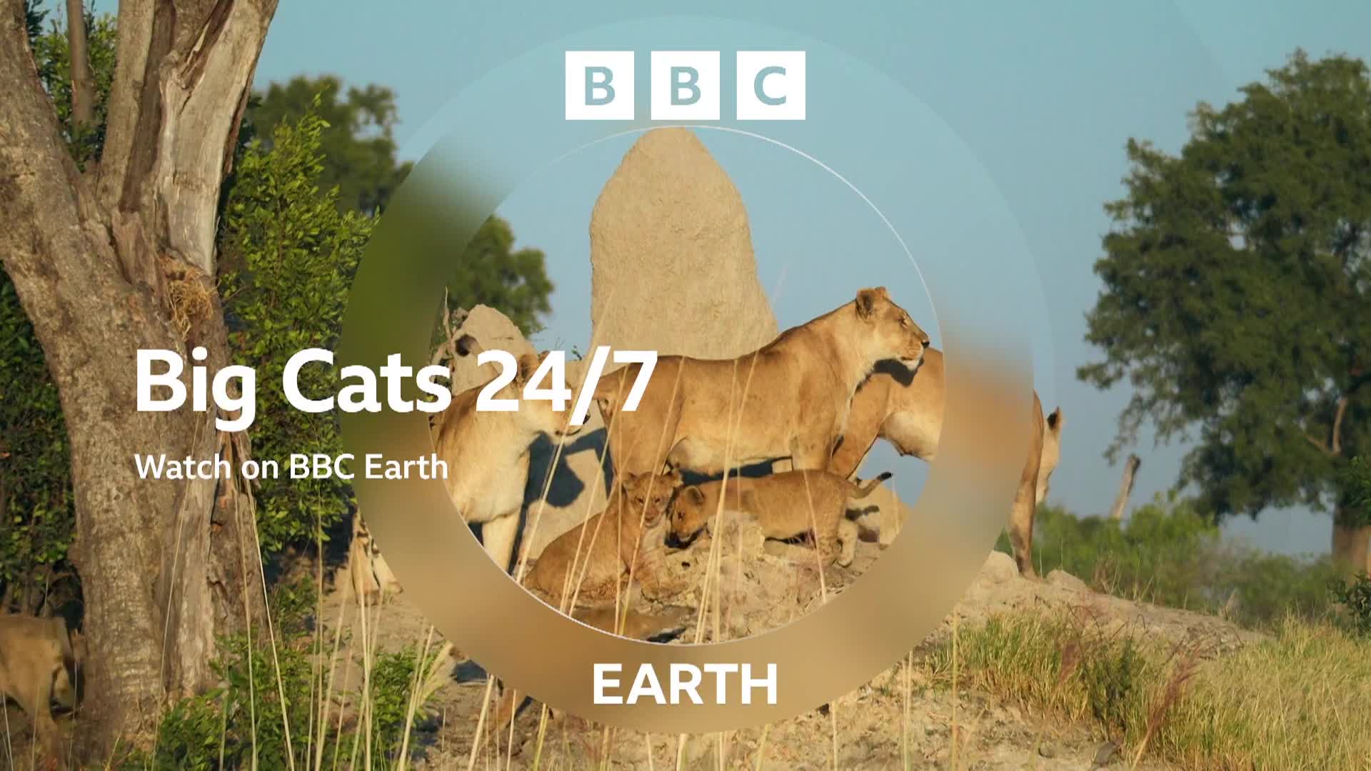 BBCEarth