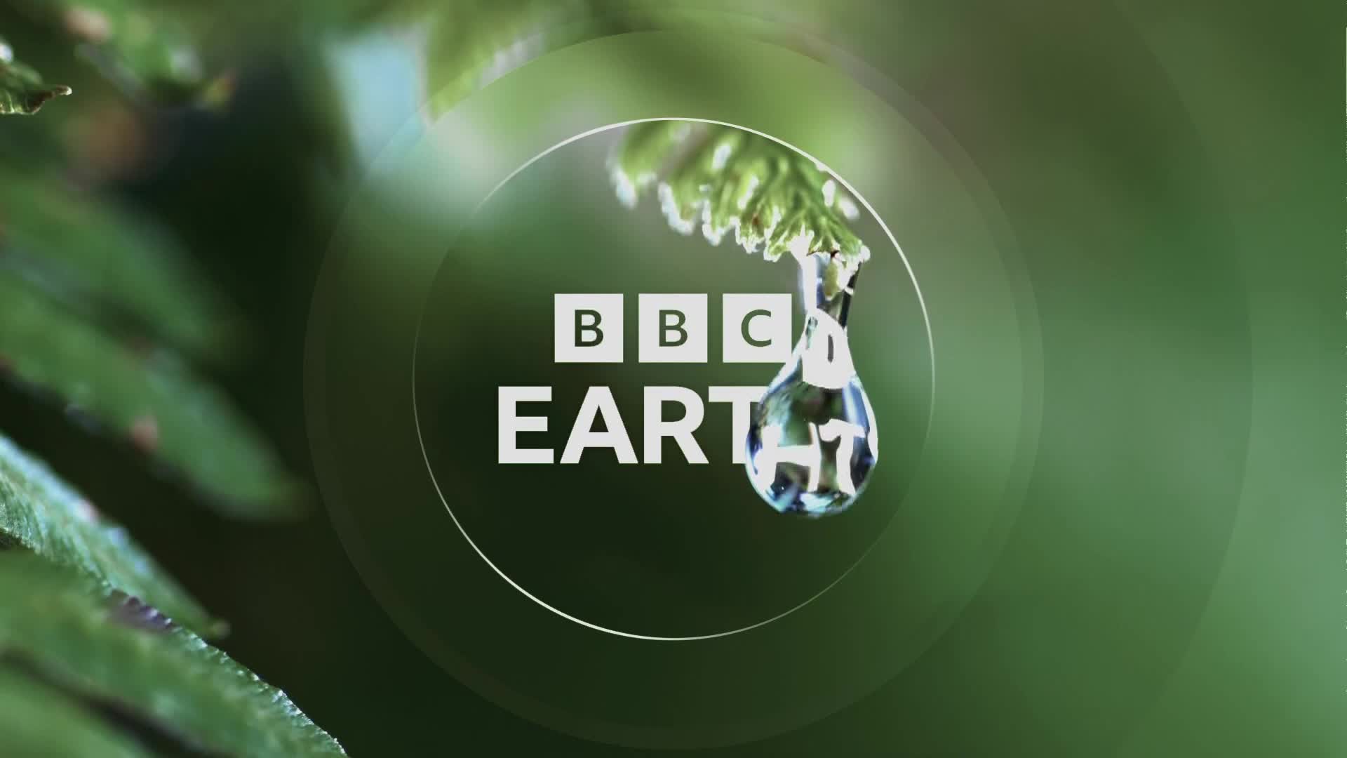 BBCEarth