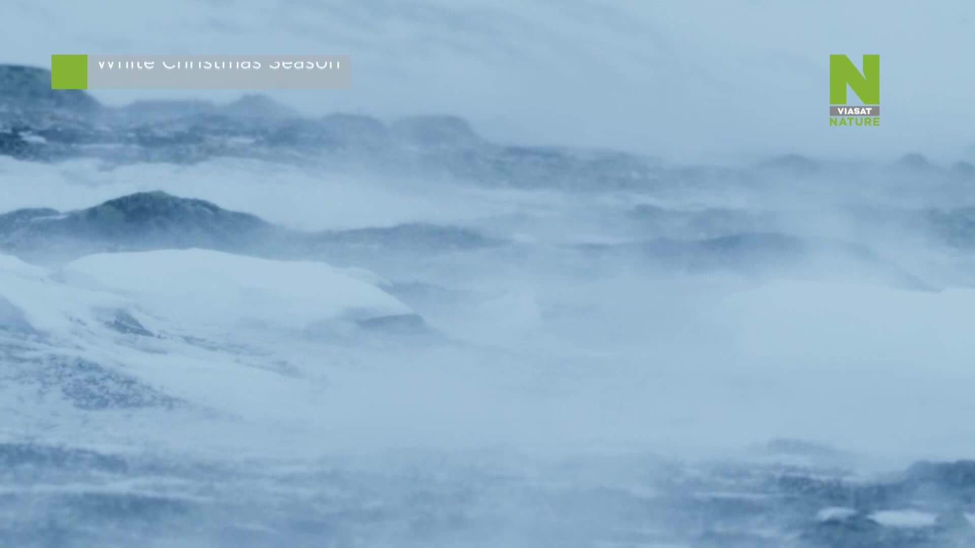 ViasatNature