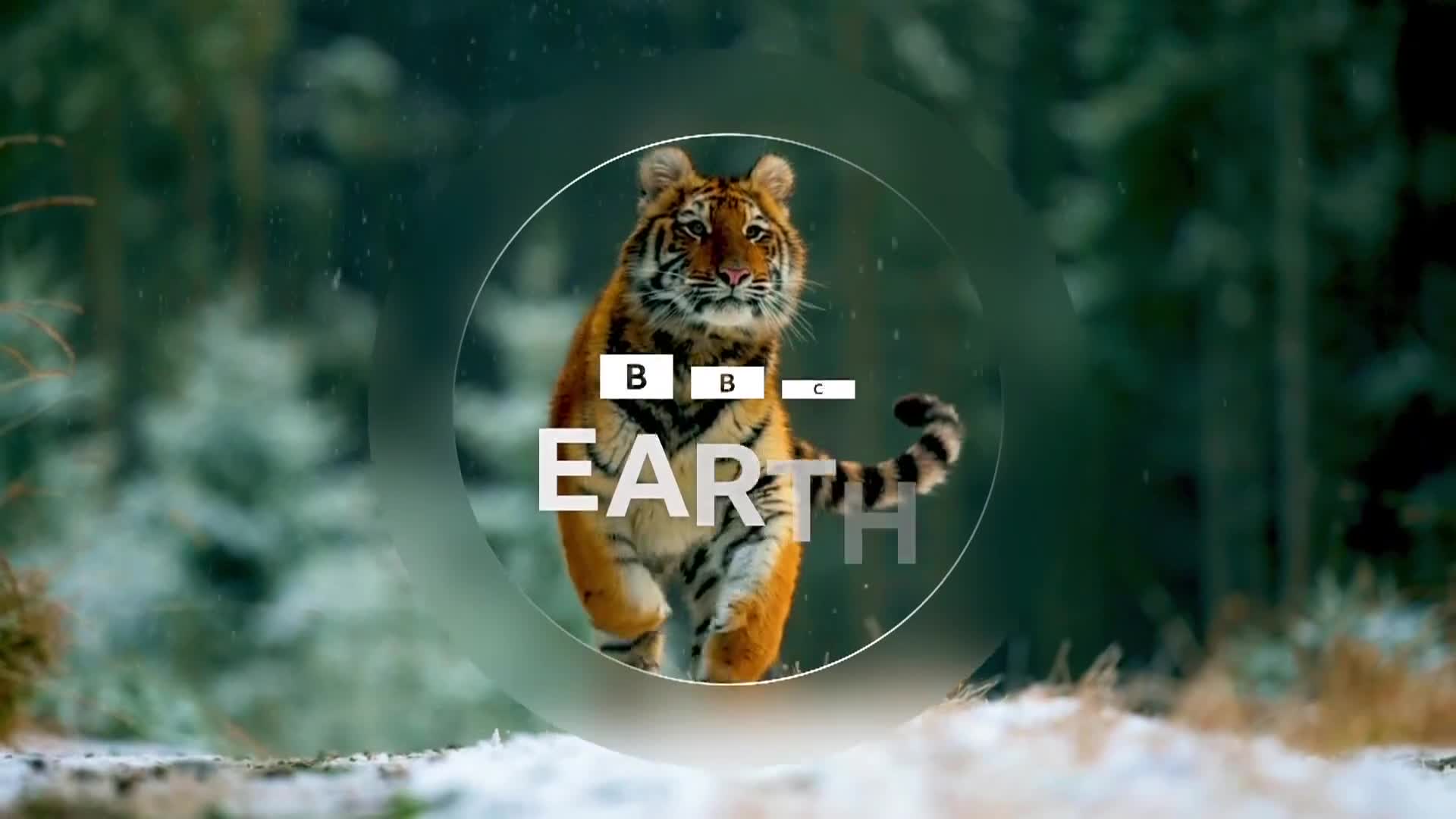 BBCEarth