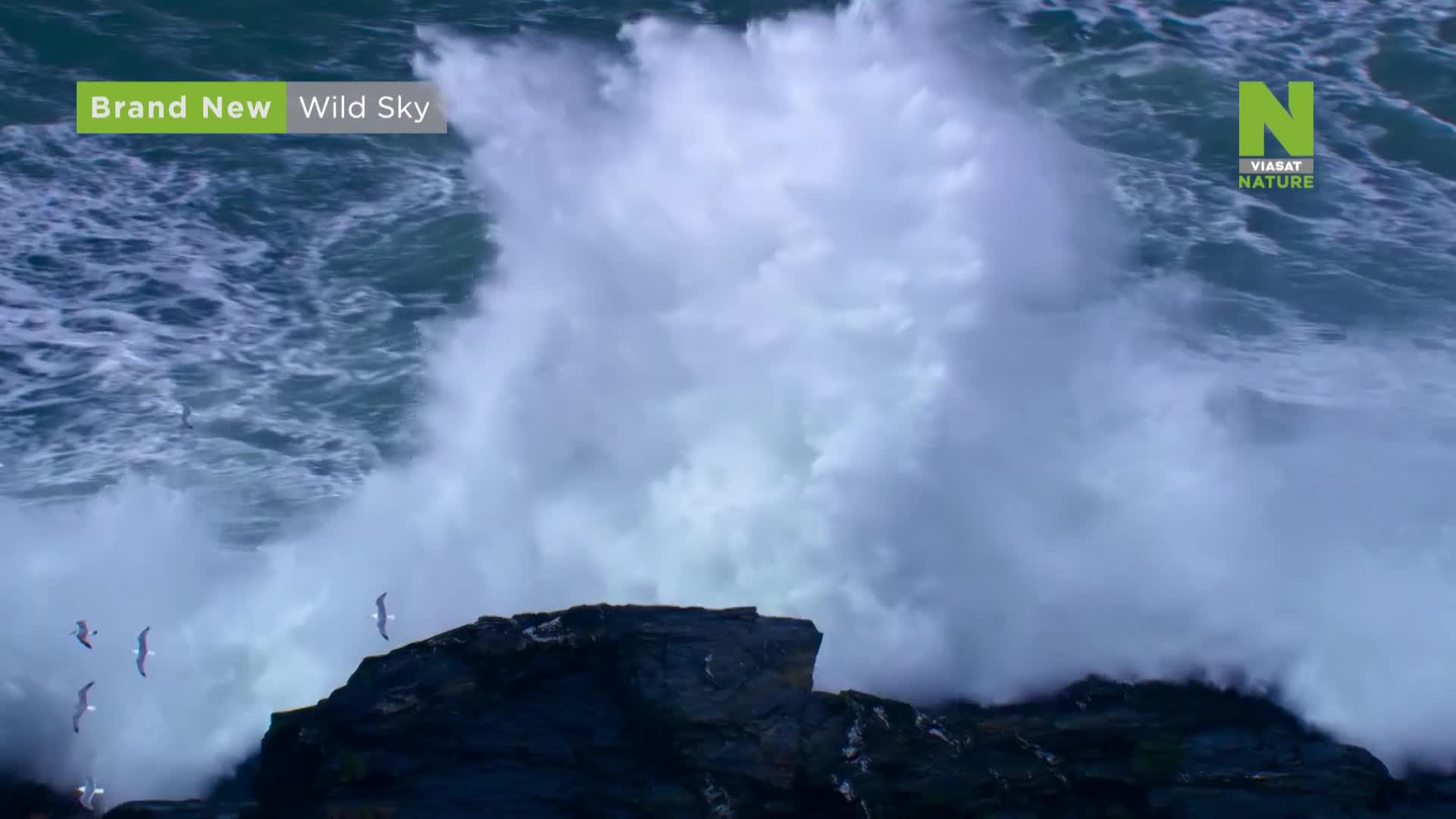 ViasatNature