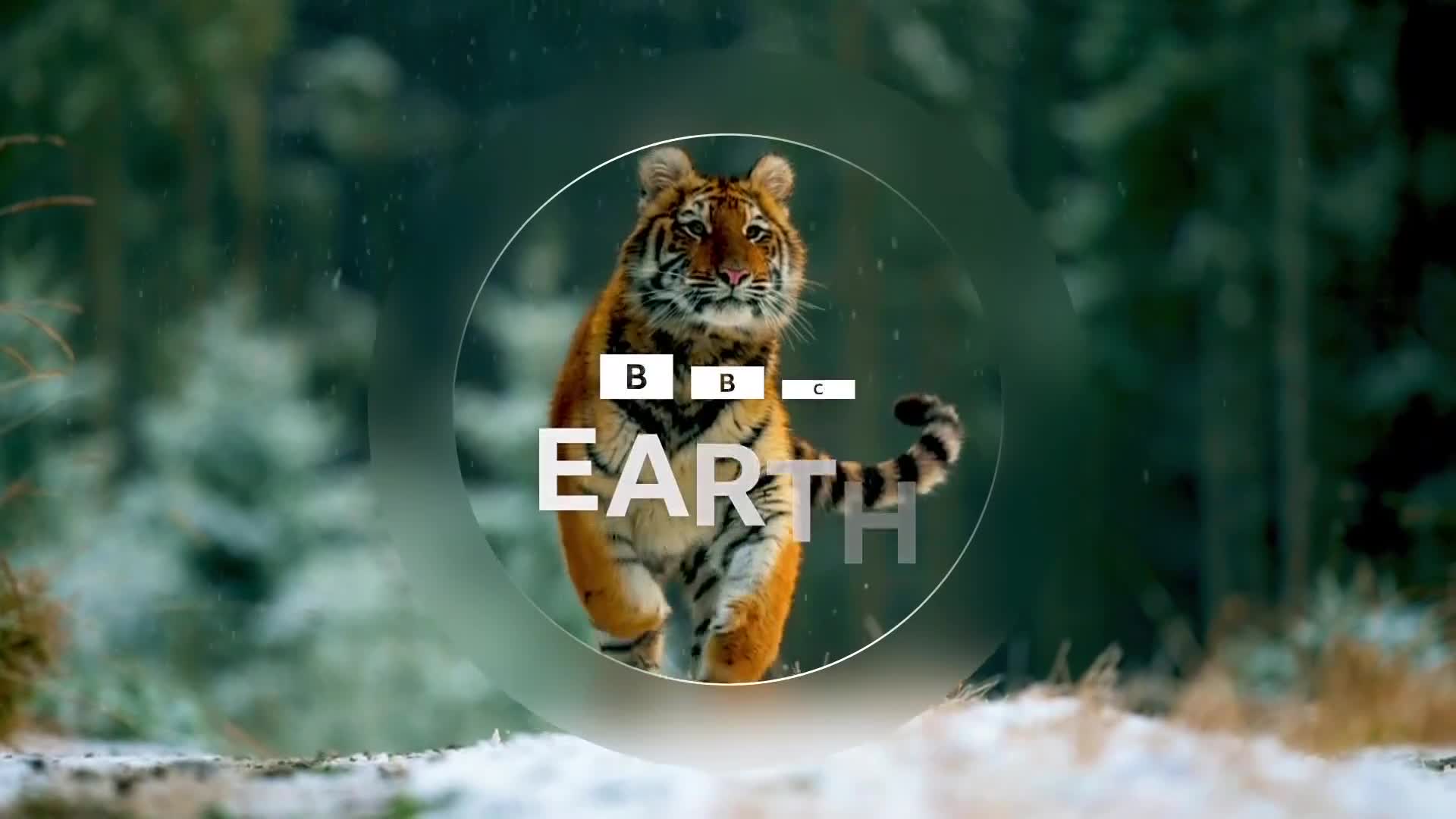 BBCEarth