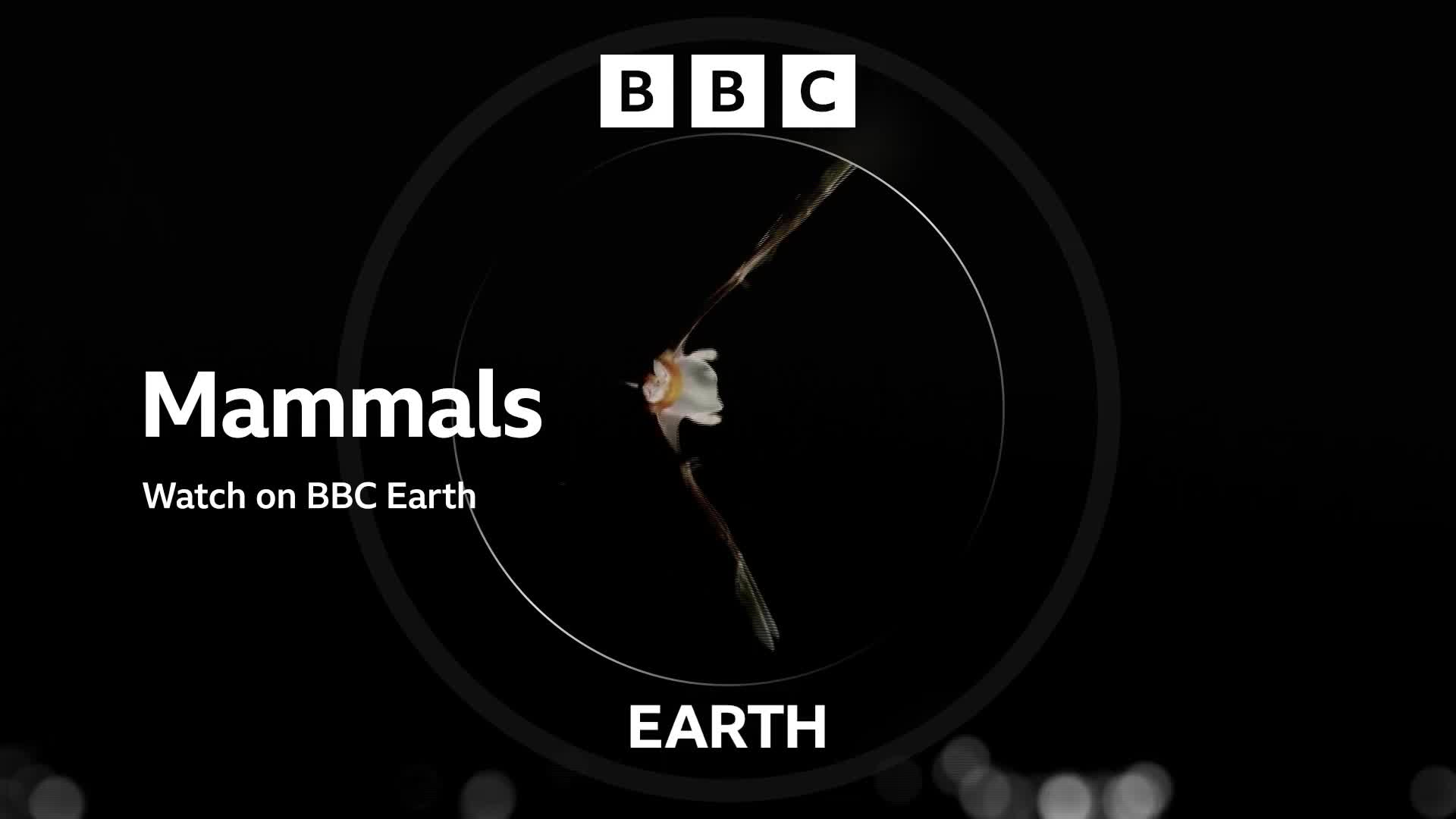 BBCEarth