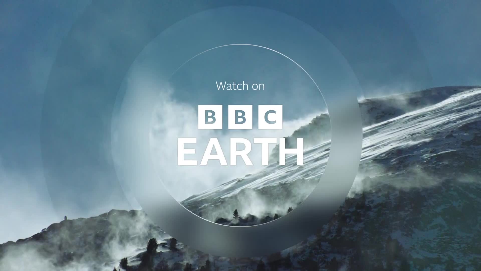 BBCEarth