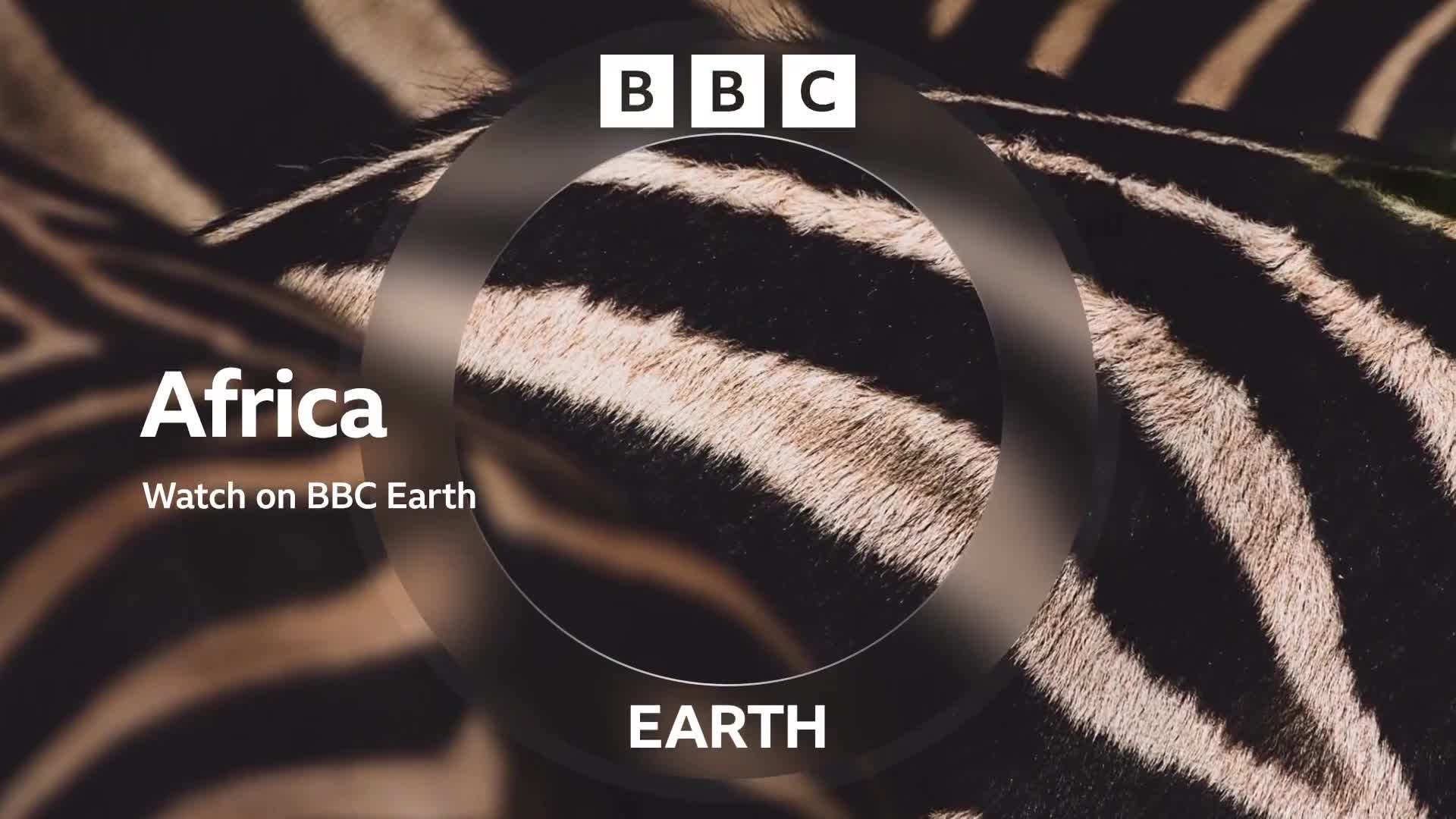 BBCEarth