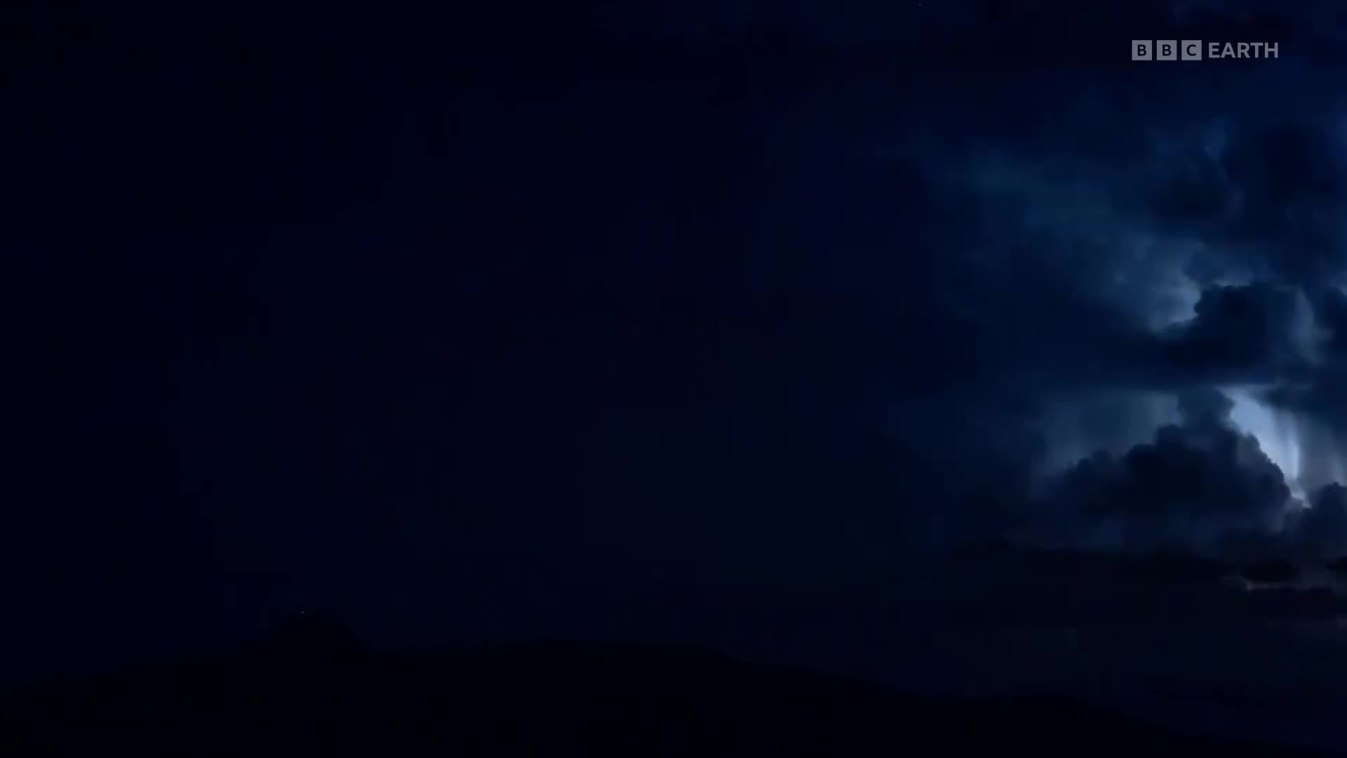 BBCEarth