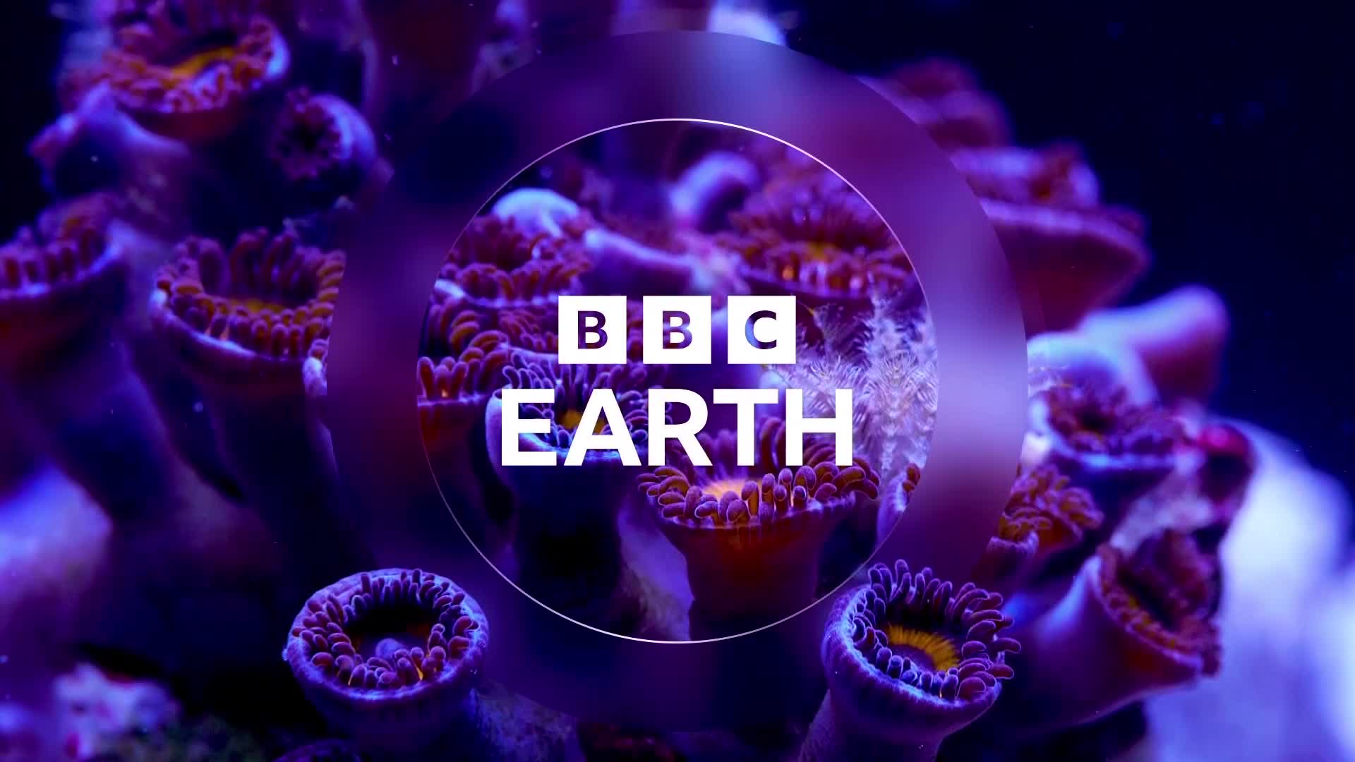 BBCEarth