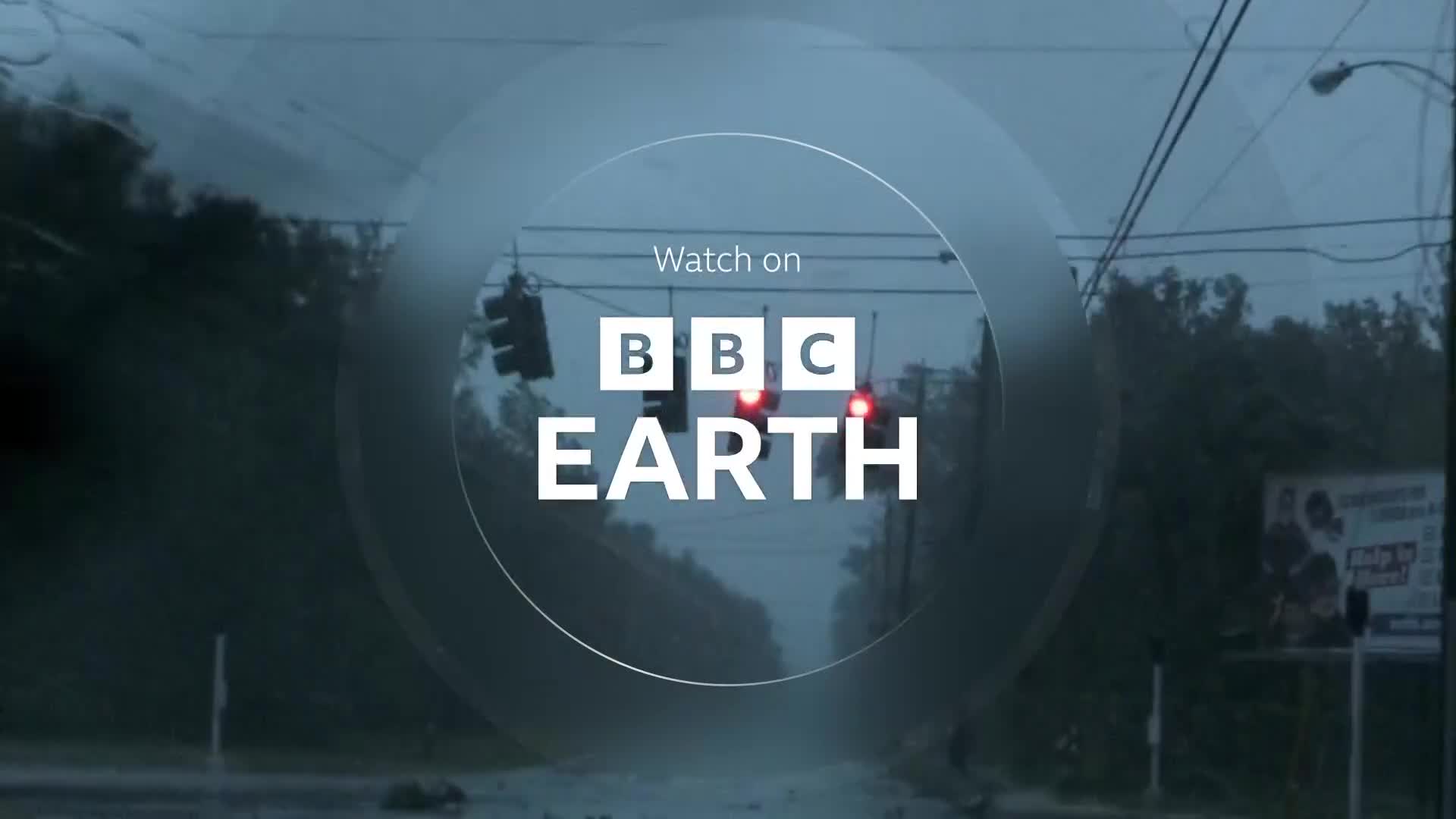 BBCEarth