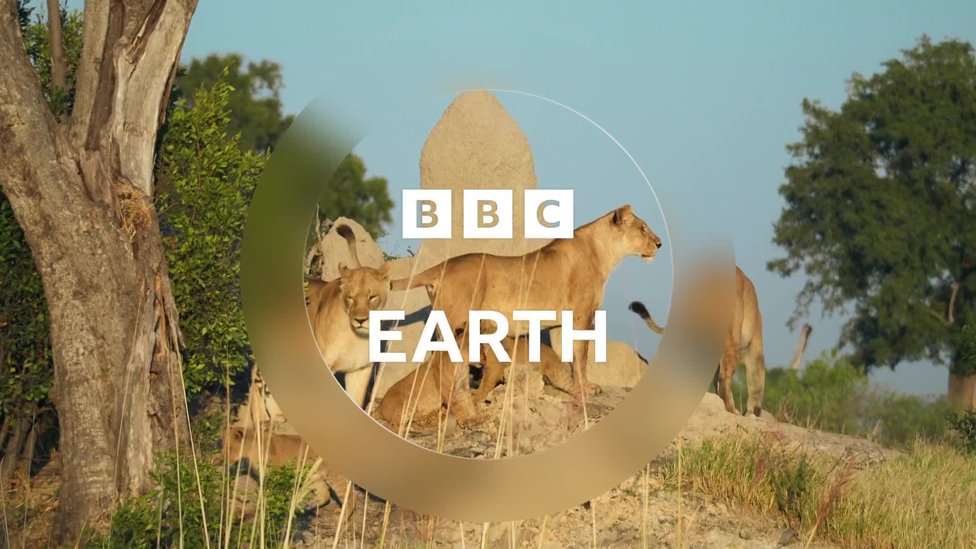 BBCEarth