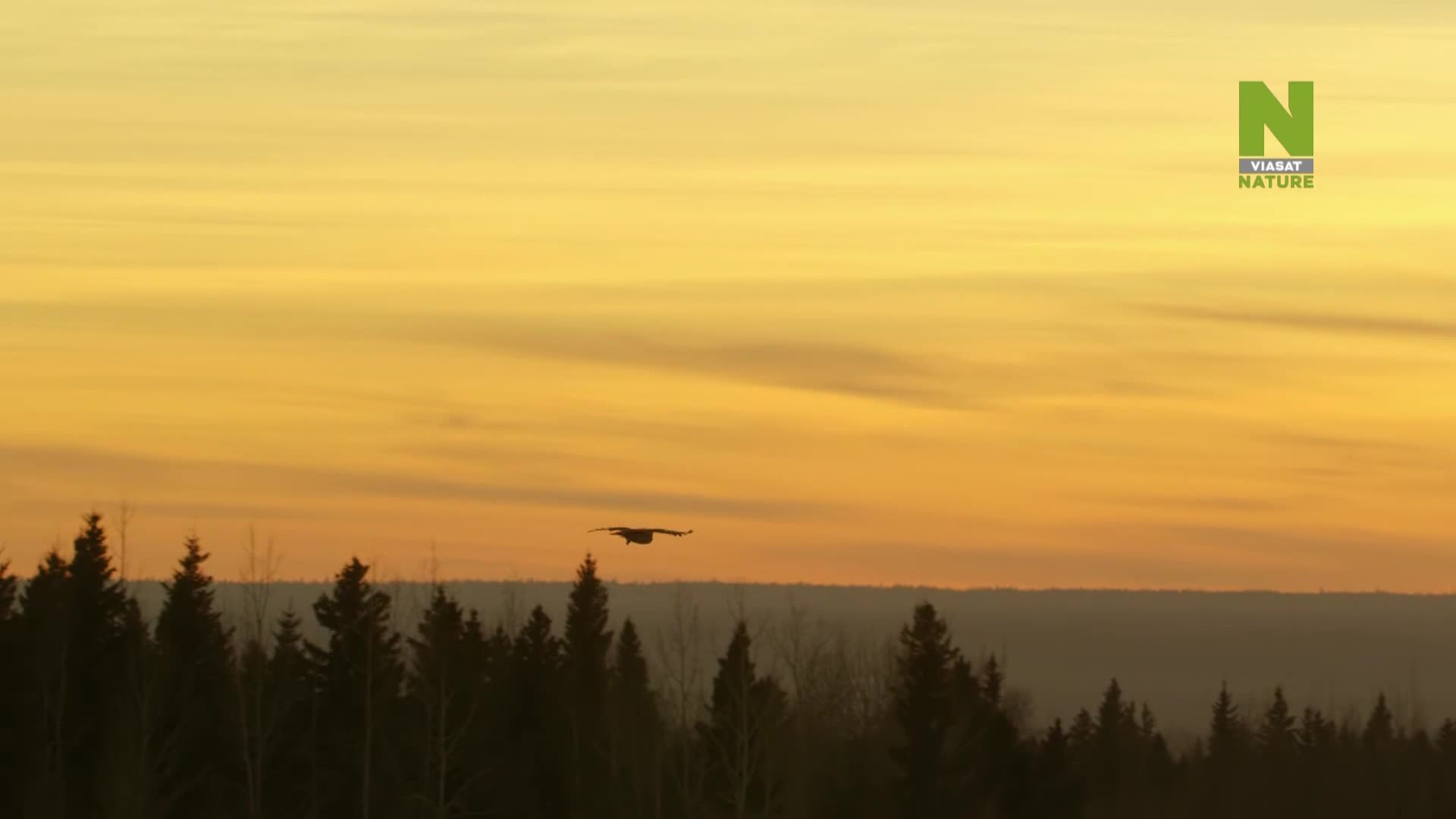 ViasatNature