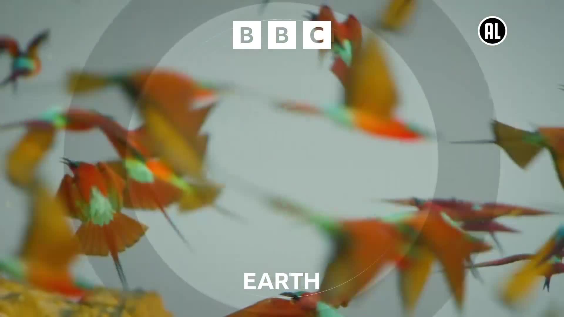 BBCEarth