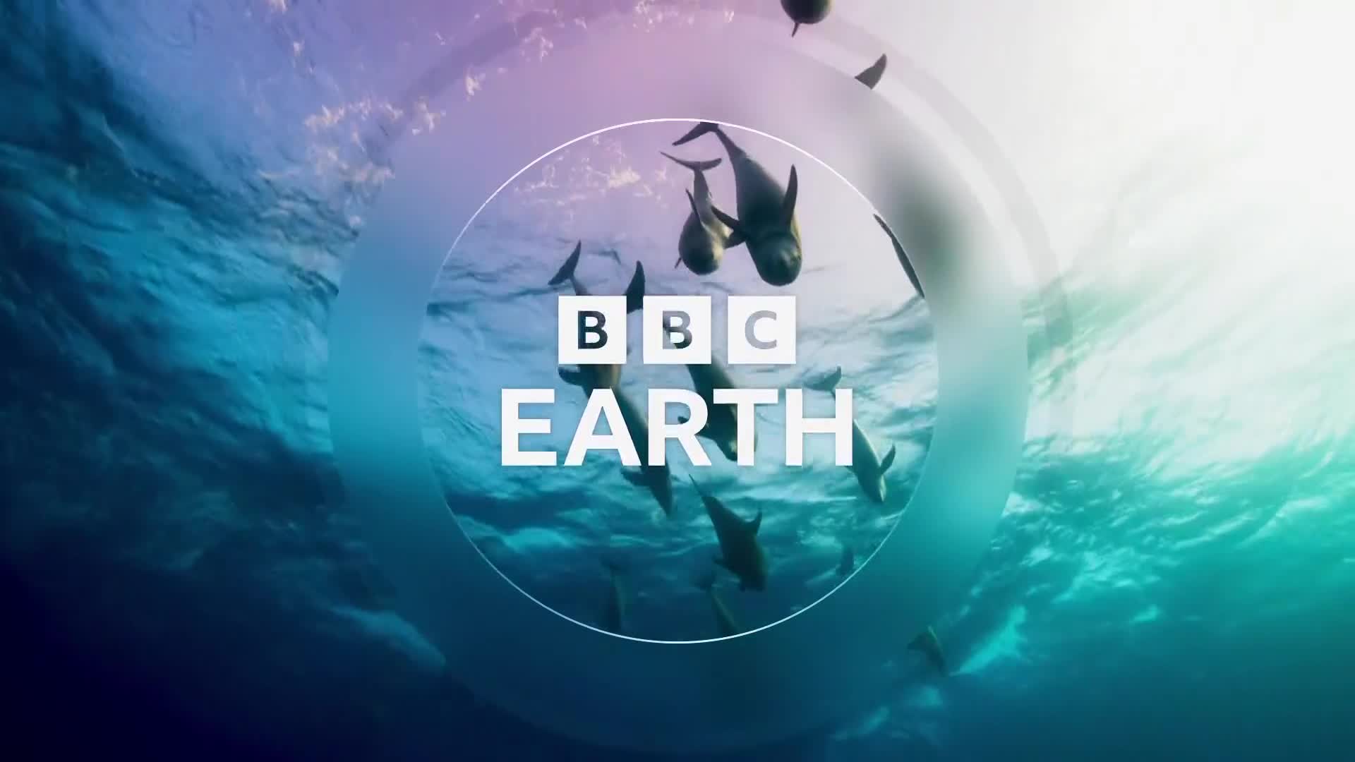 BBCEarth