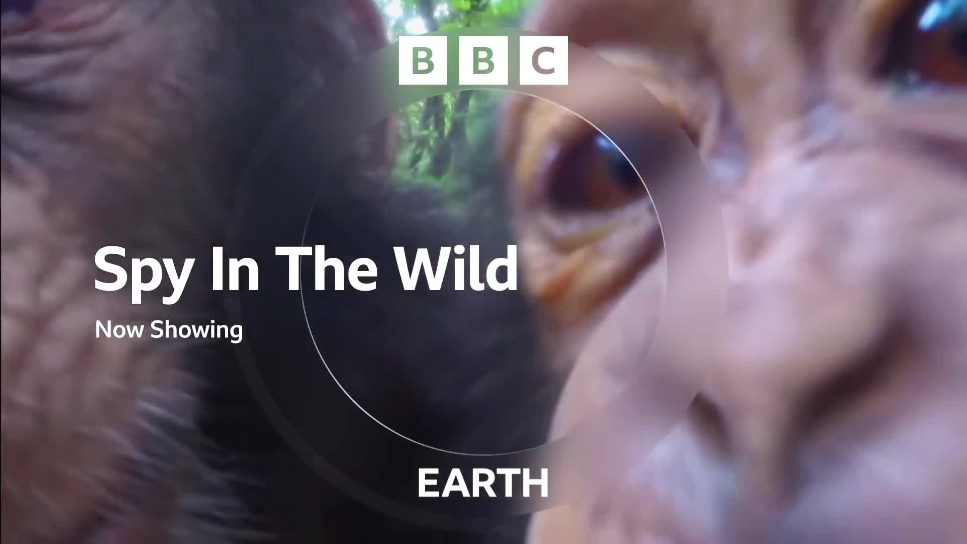 BBCEarth