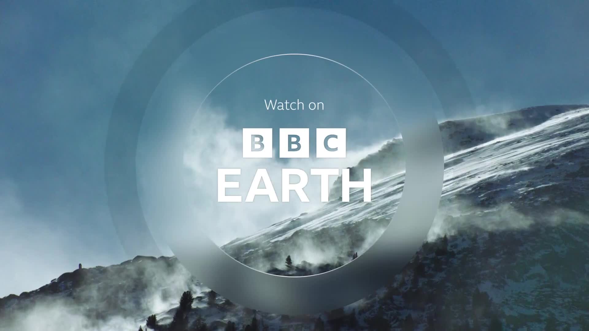 BBCEarth