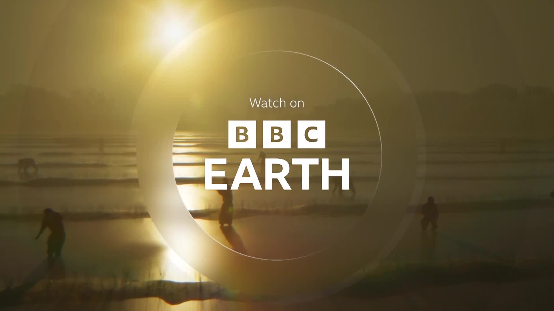 BBCEarth