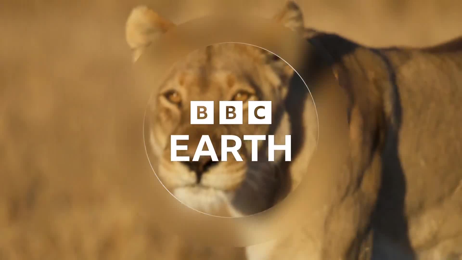 BBCEarth