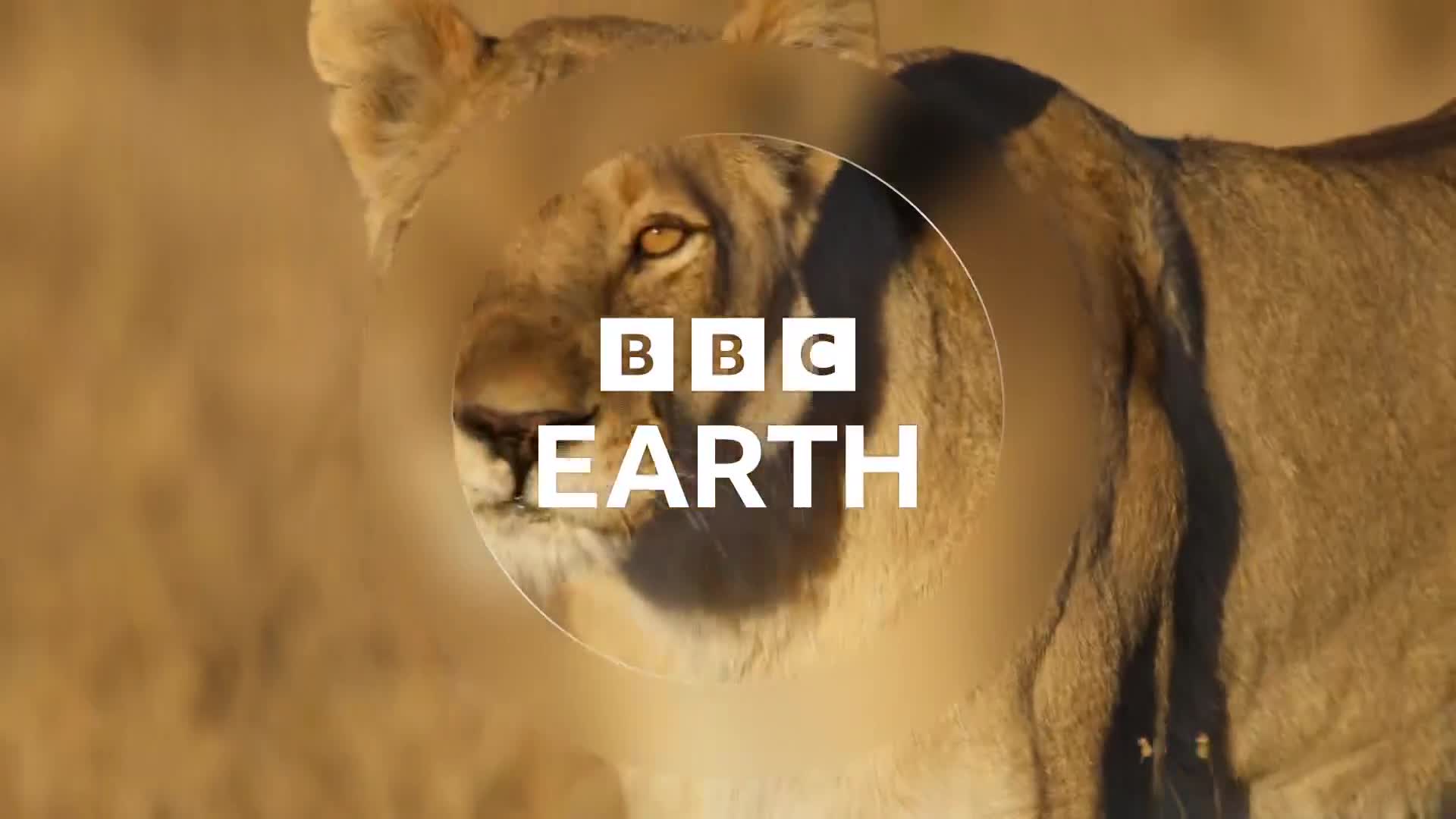 BBCEarth