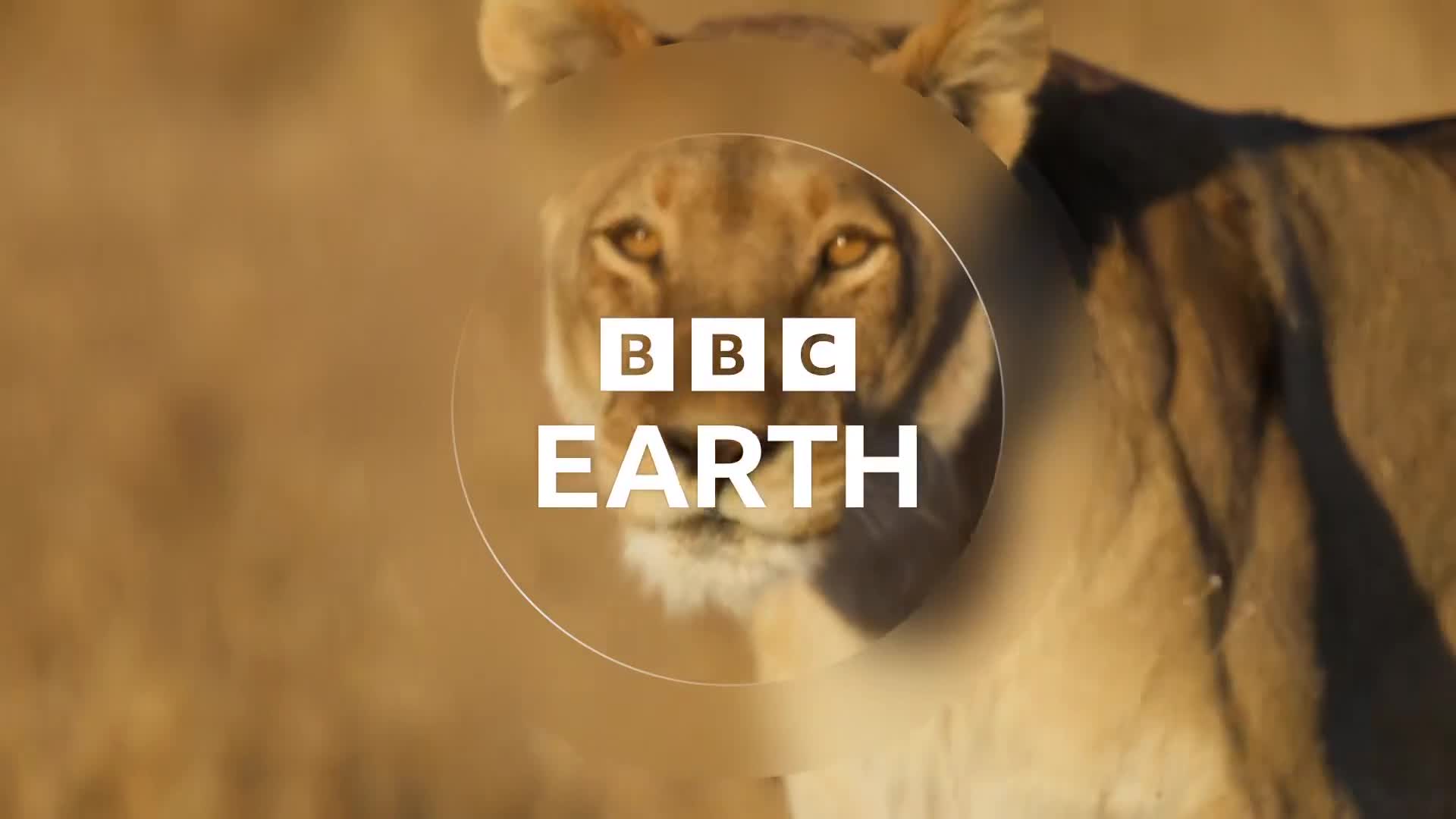 BBCEarth
