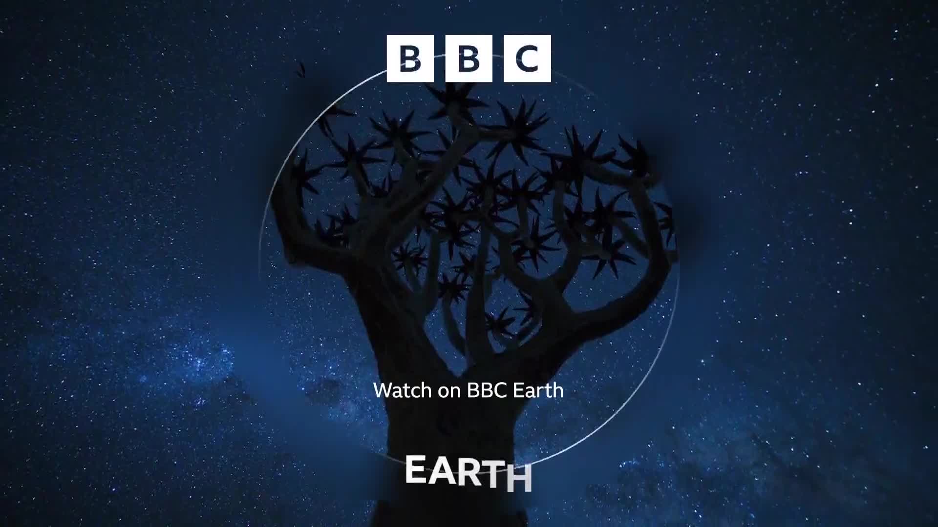 BBCEarth