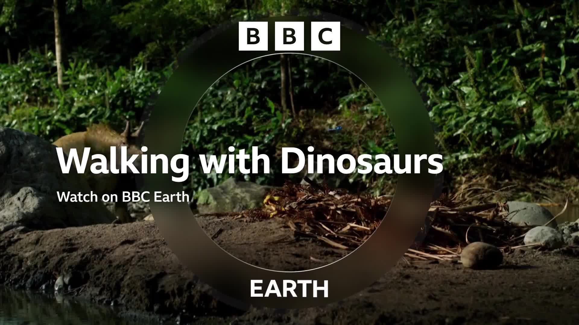 BBCEarth