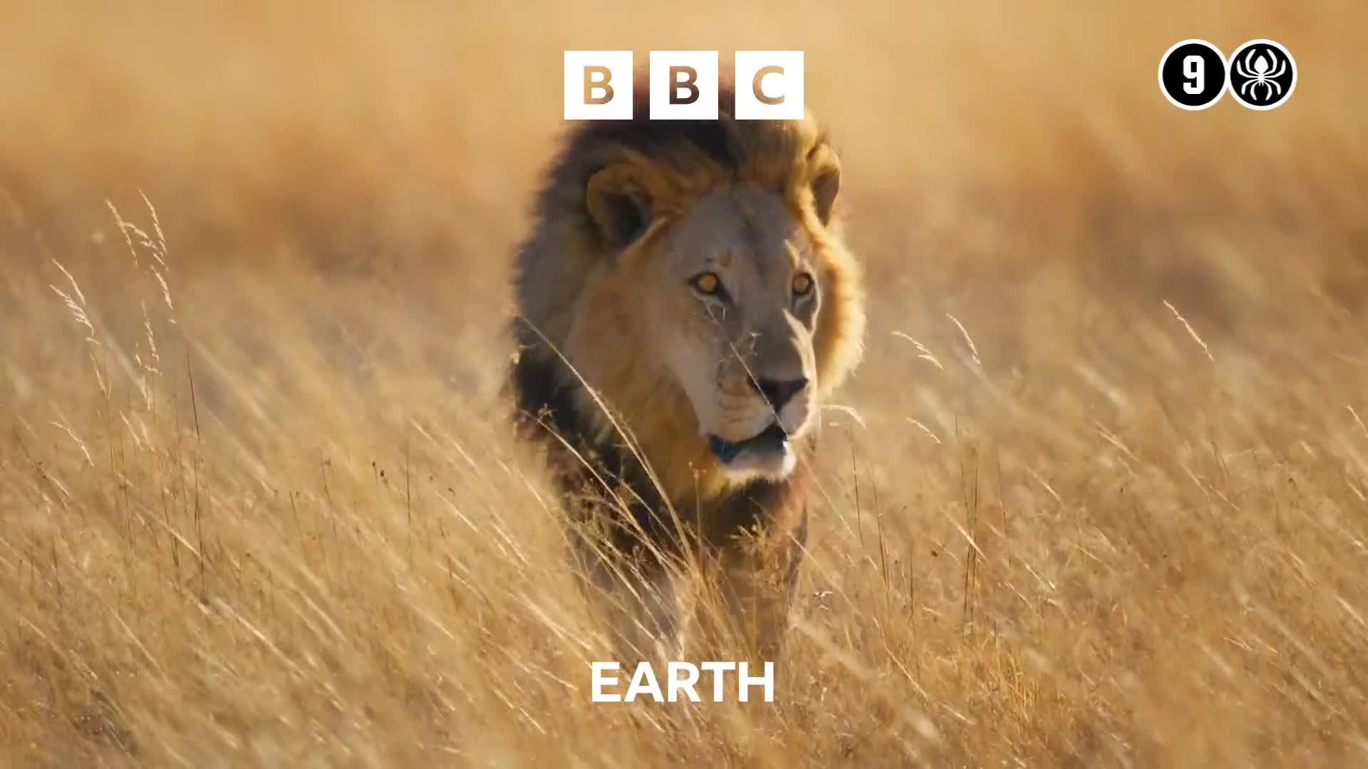 BBCEarth