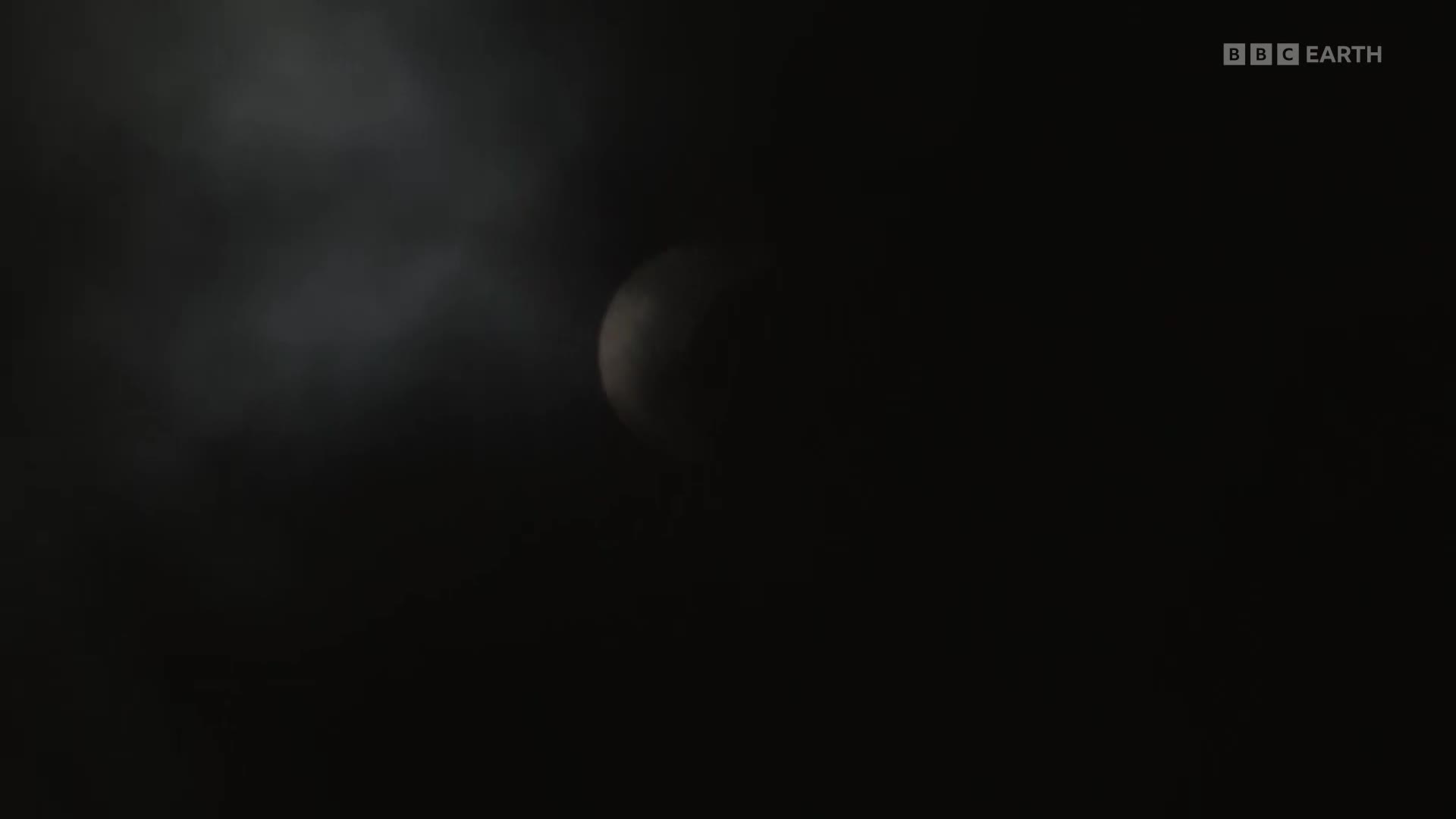 BBCEarth