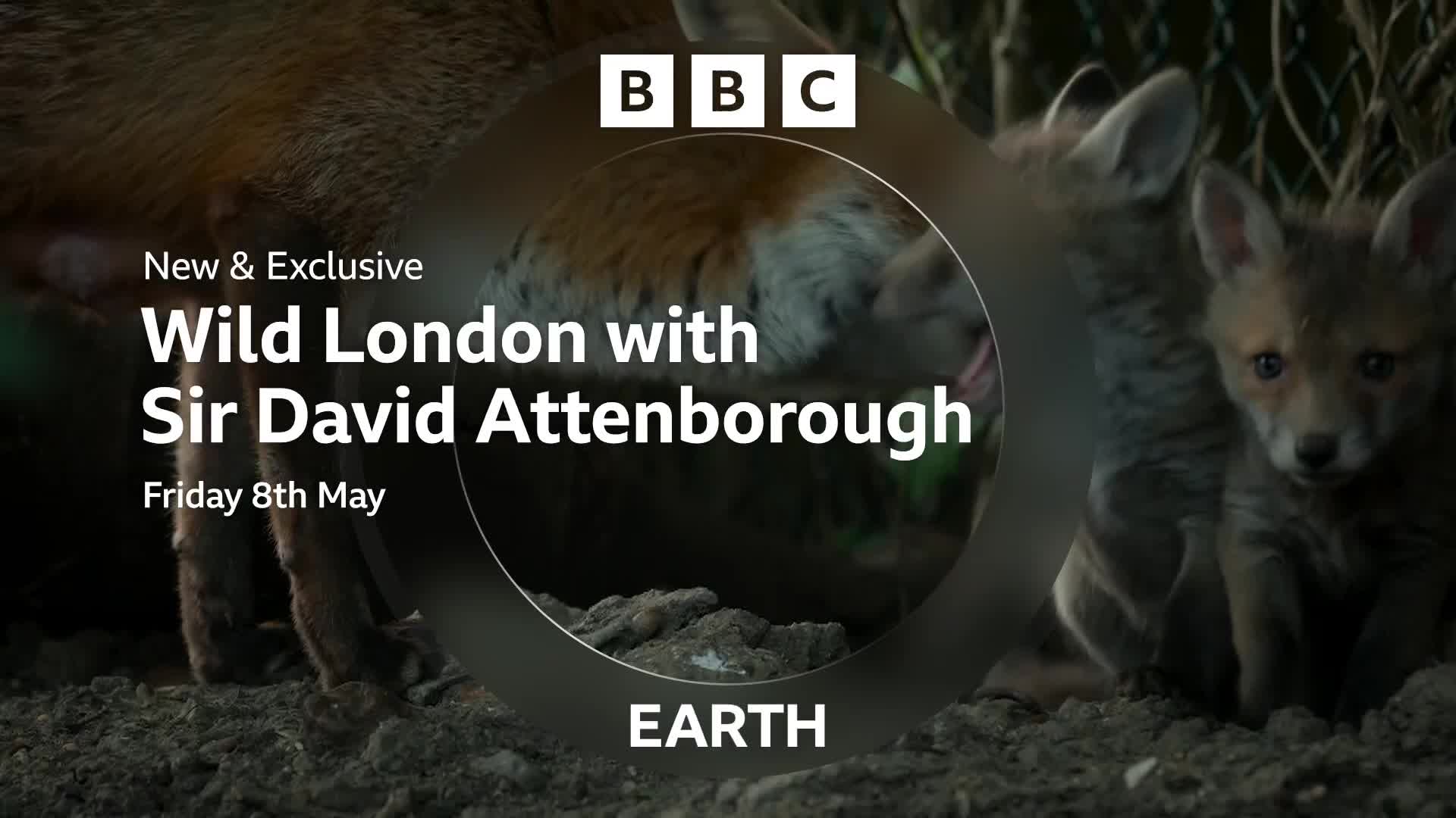 BBCEarth