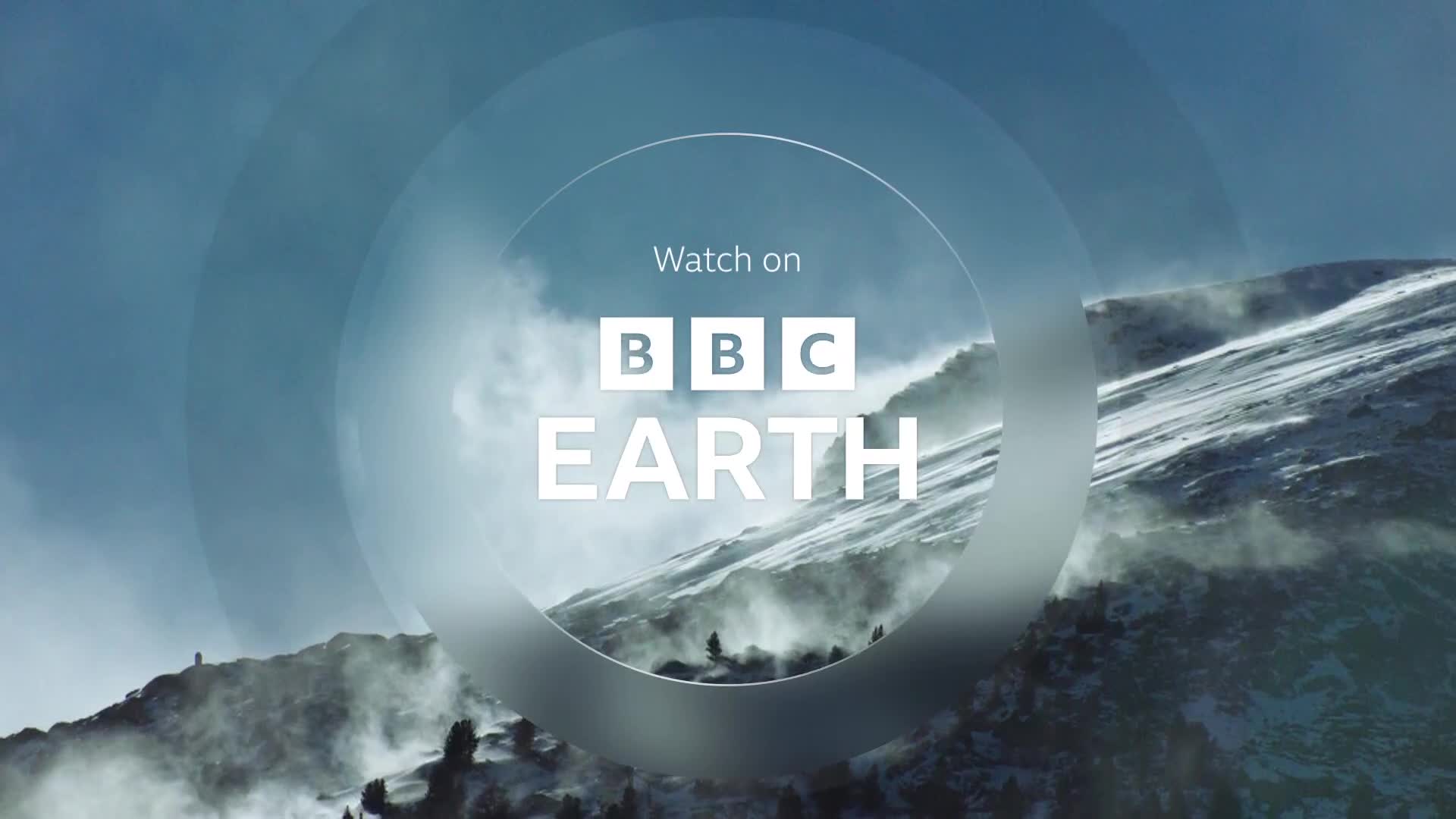 BBCEarth