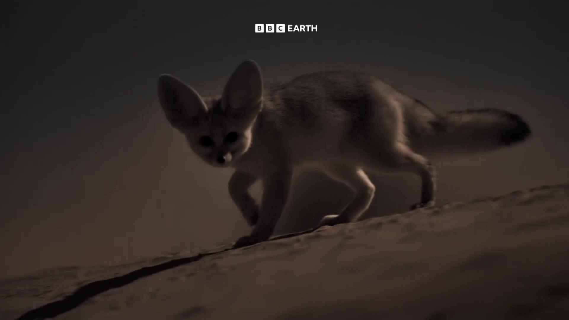 BBCEarth
