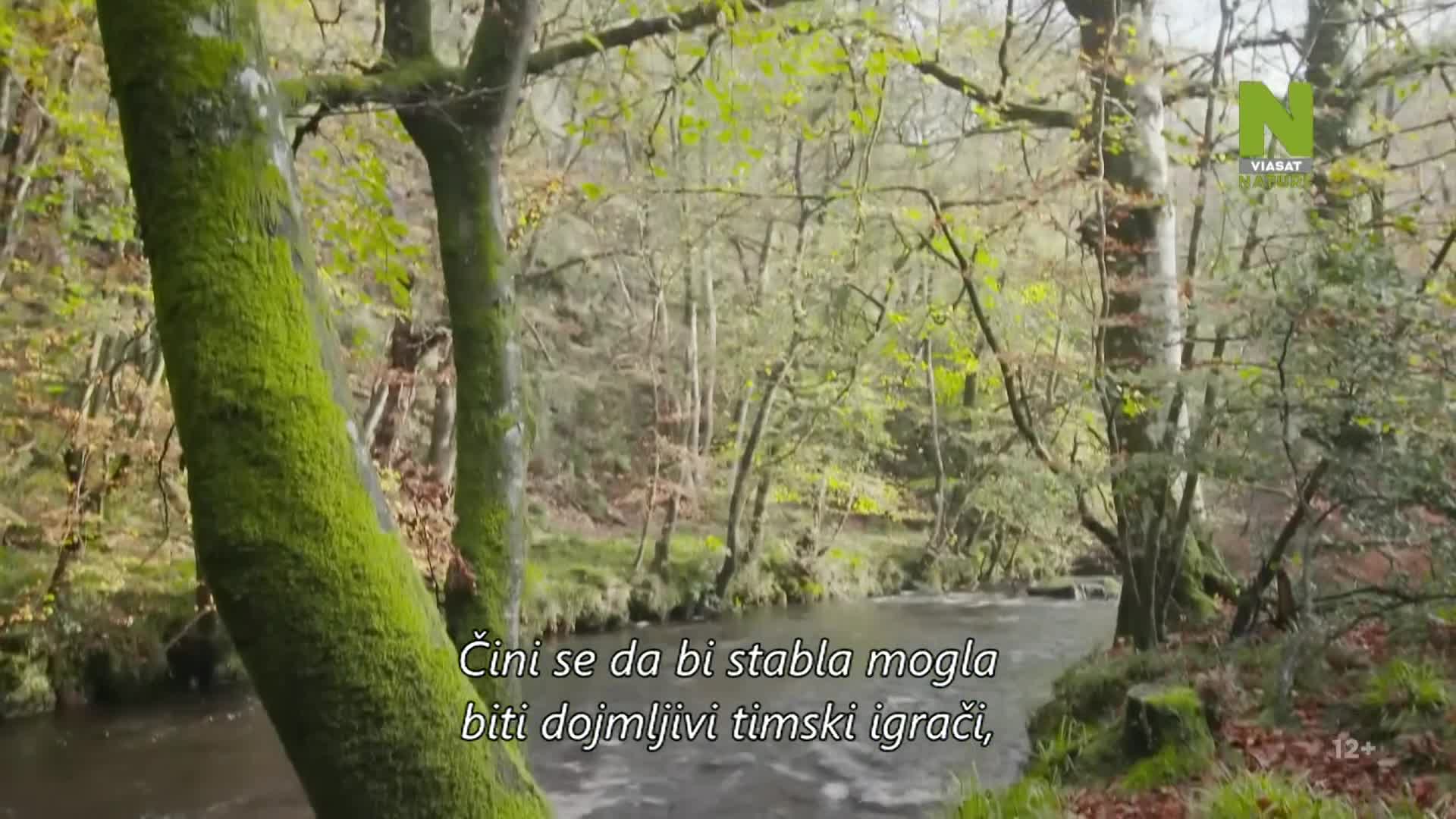 ViasatNature