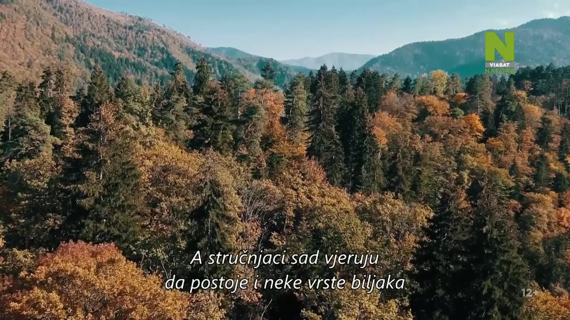 ViasatNature