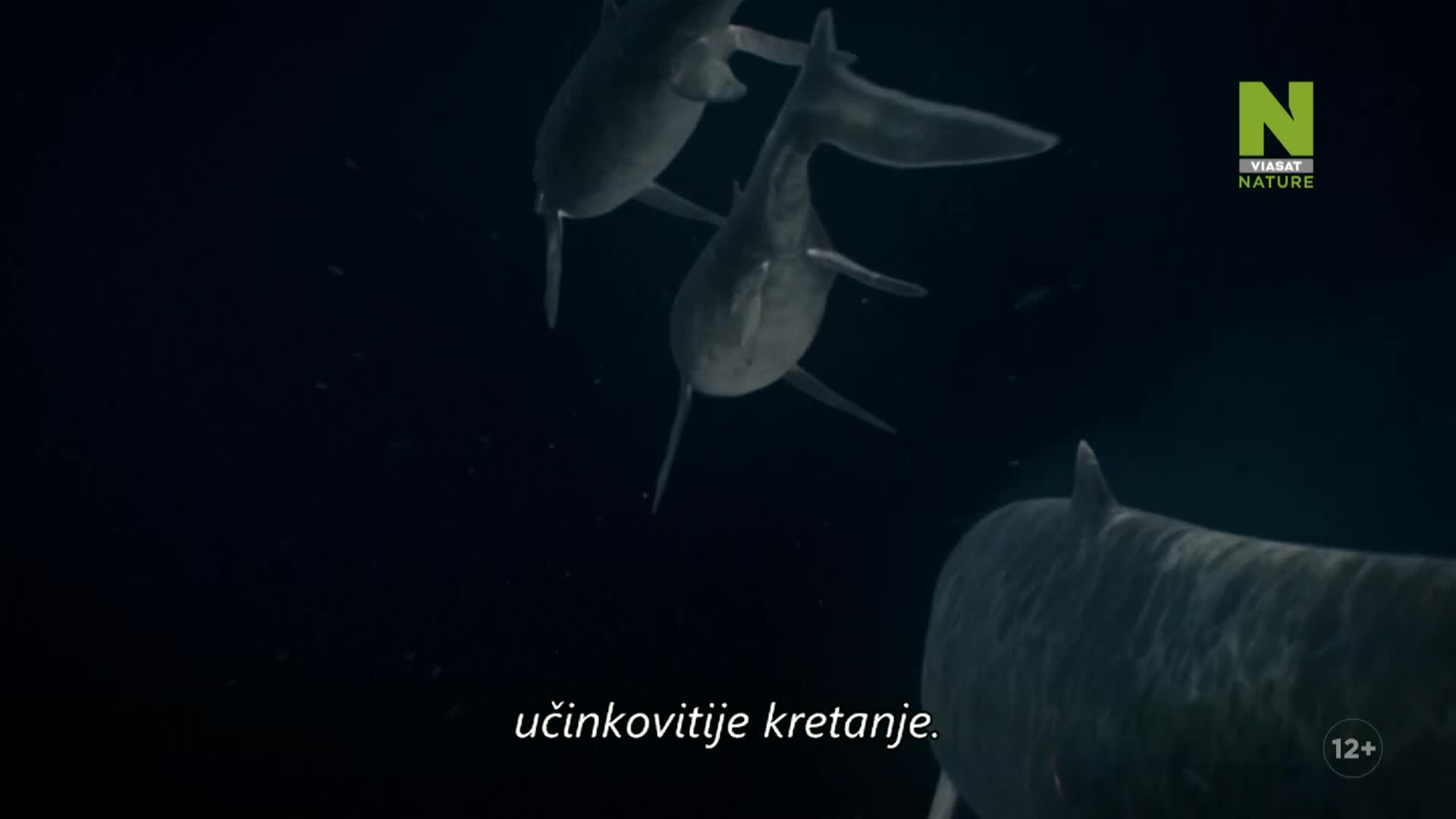 ViasatNature