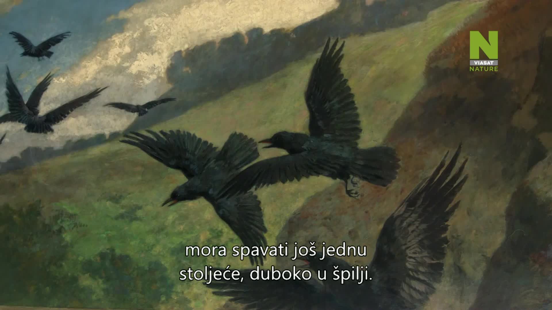 ViasatNature