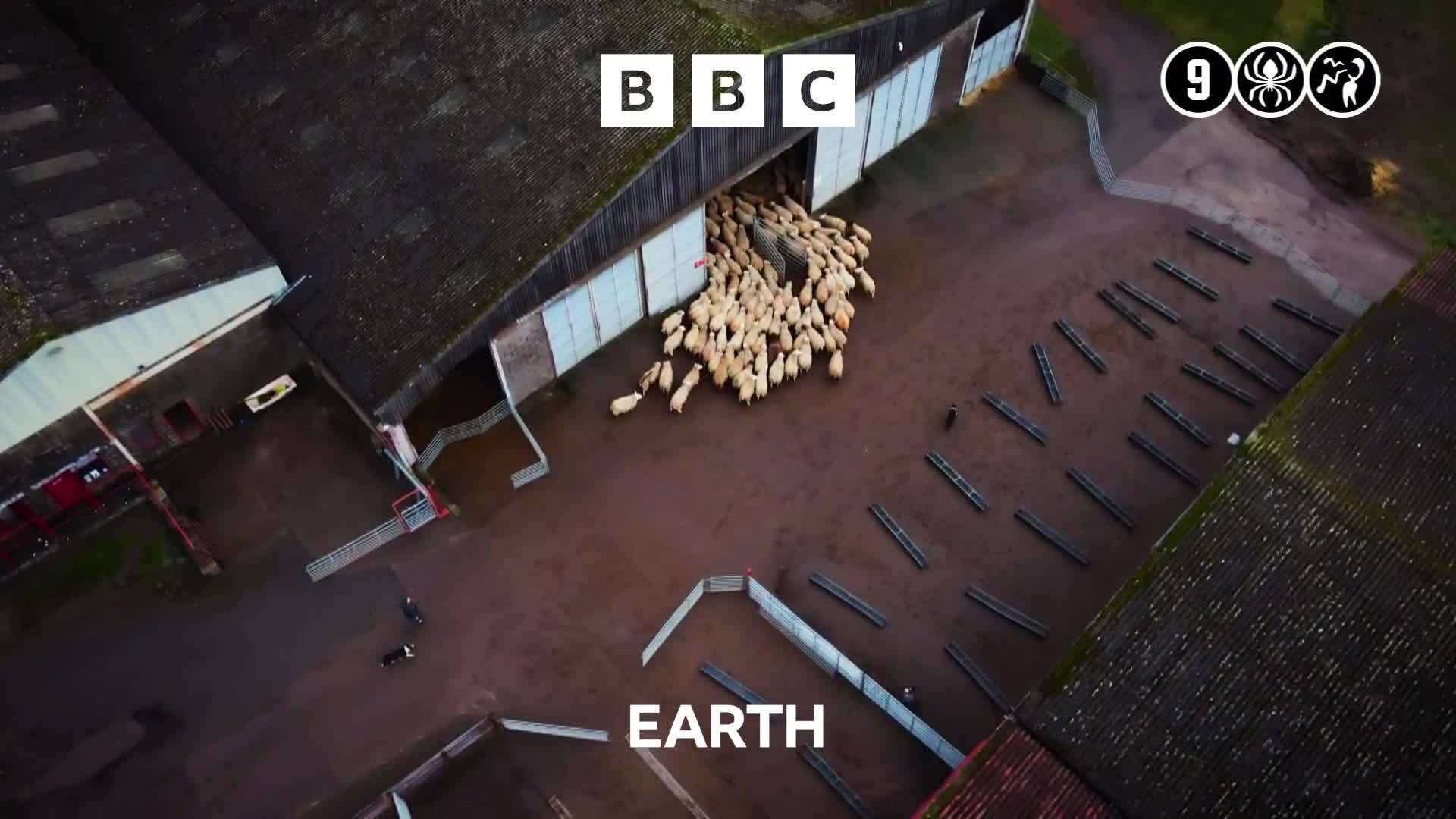 BBCEarth