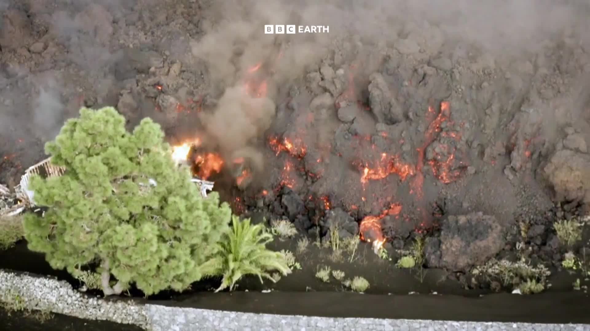 BBCEarth
