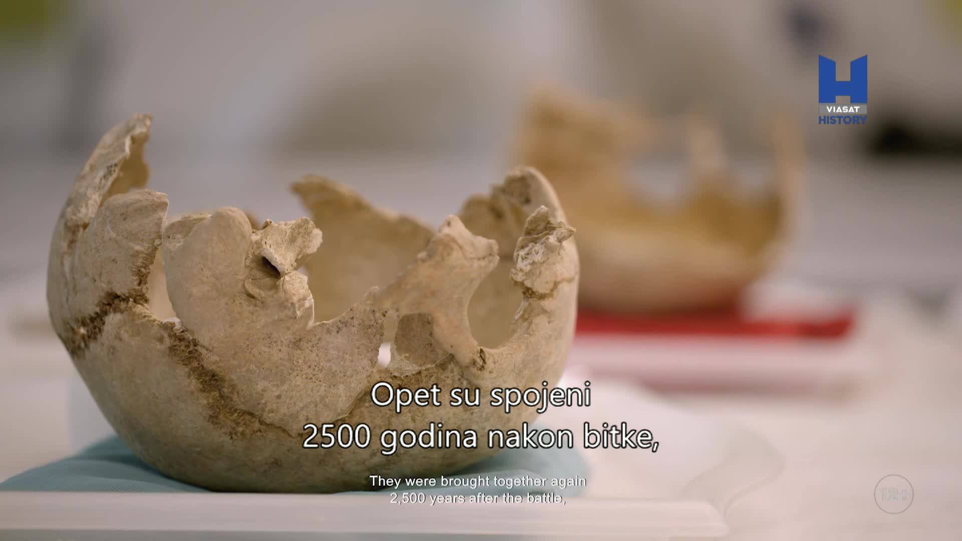 ViasatHistory