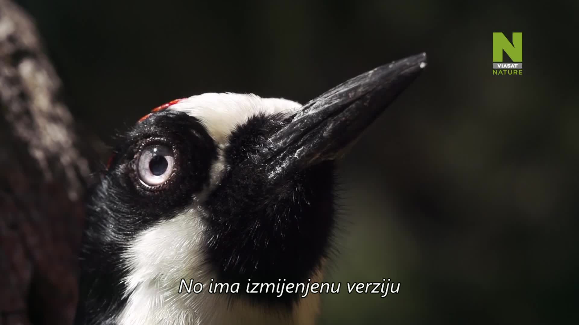 ViasatNature