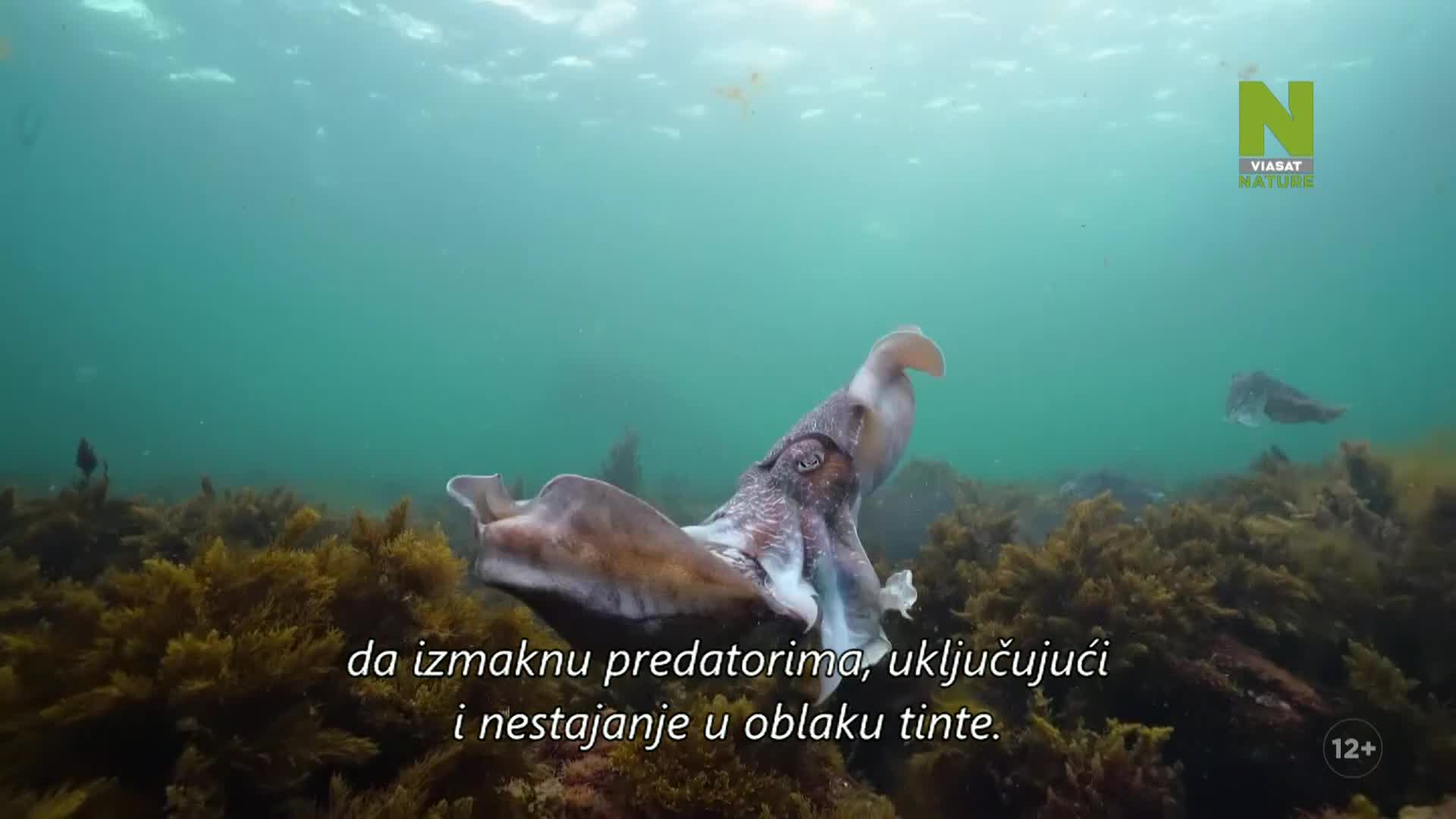 ViasatNature