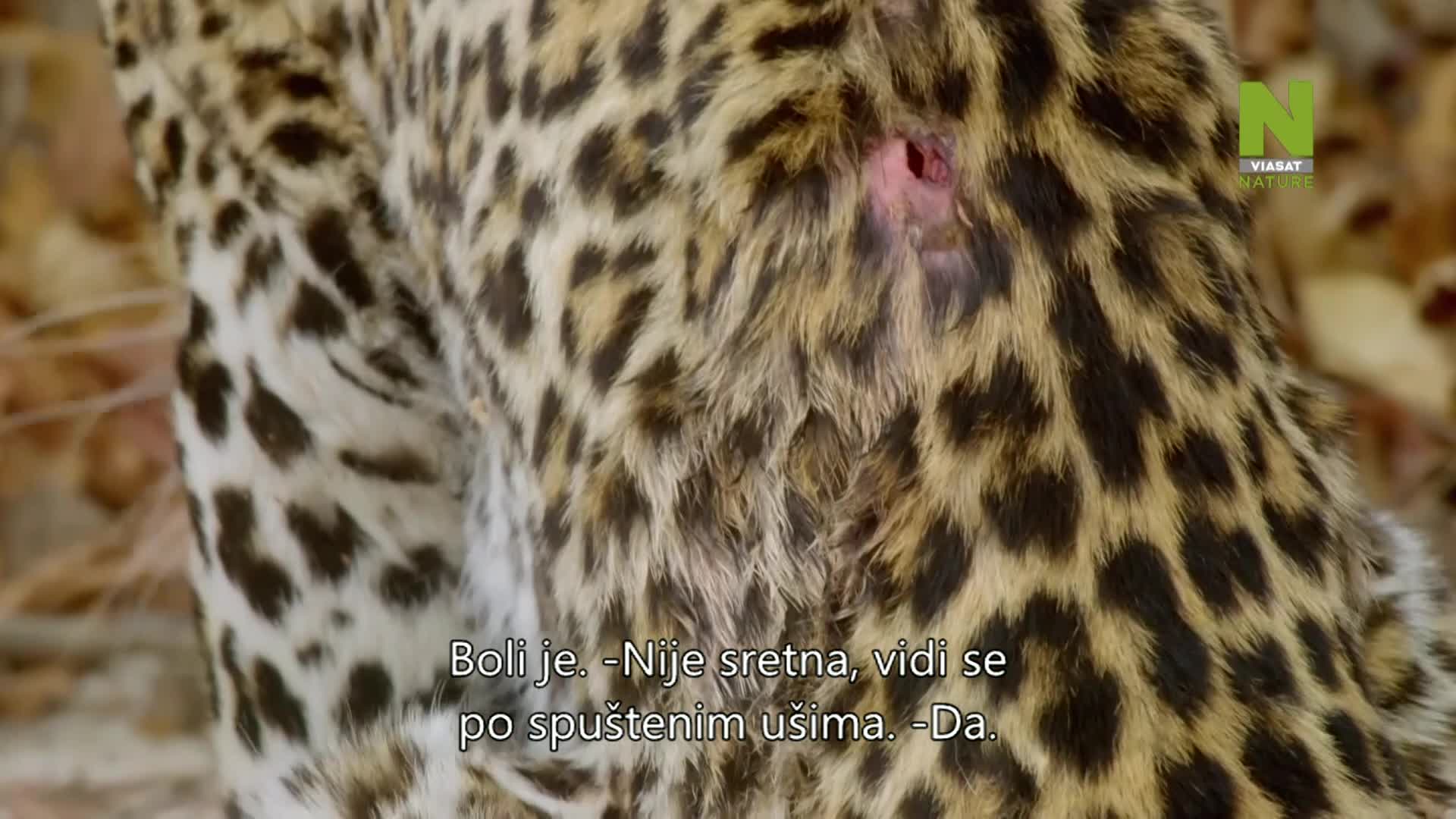 ViasatNature