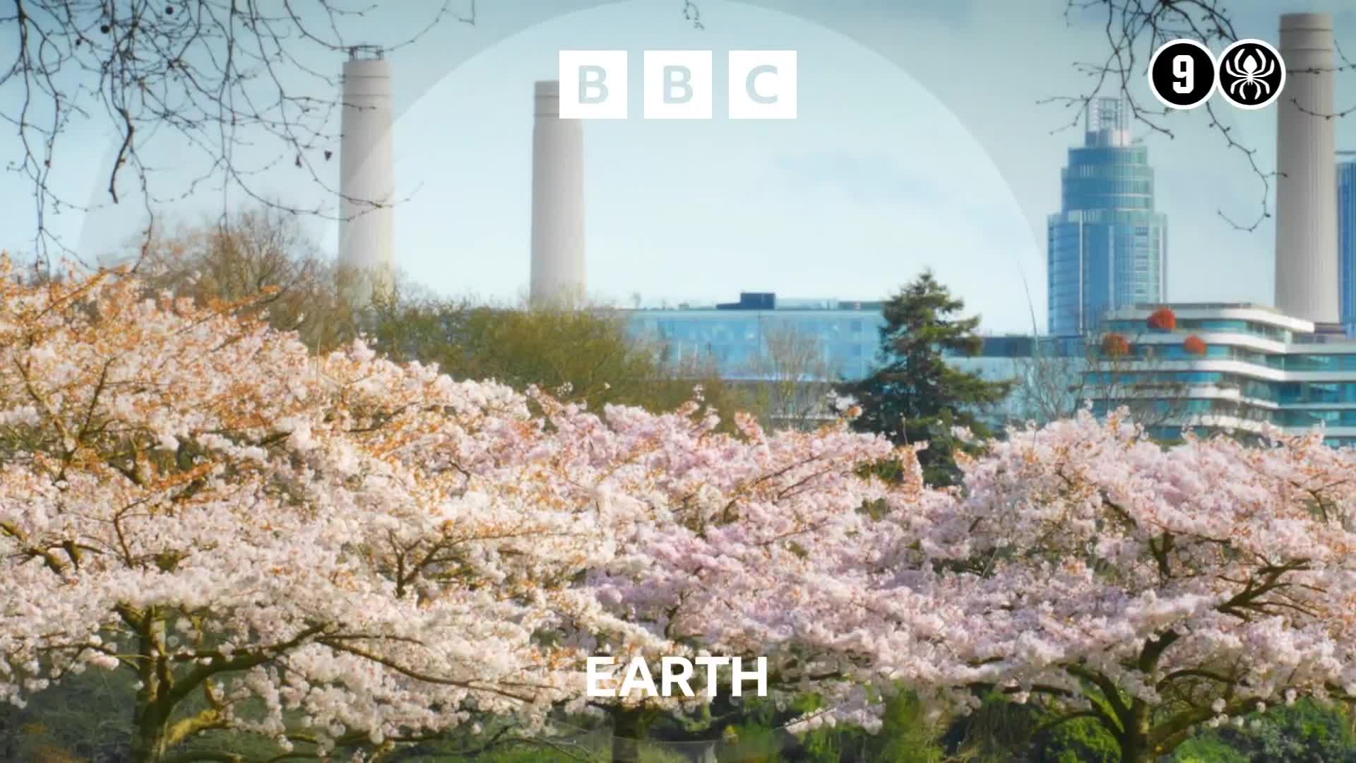 BBCEarth