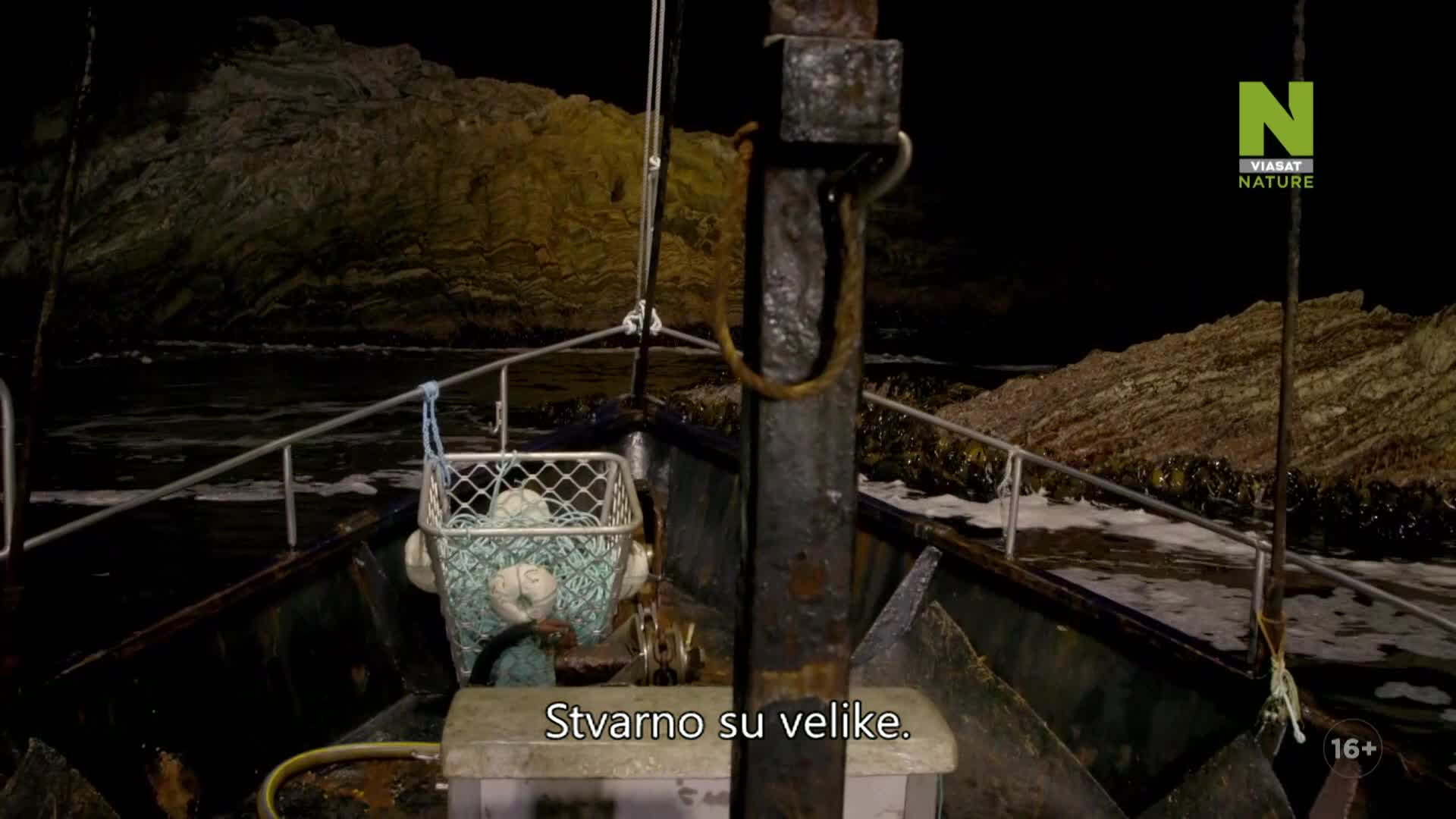 ViasatNature