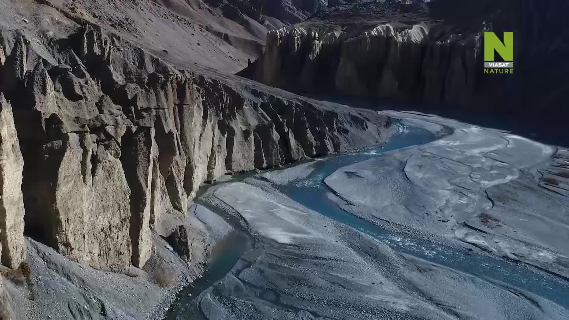 ViasatNature