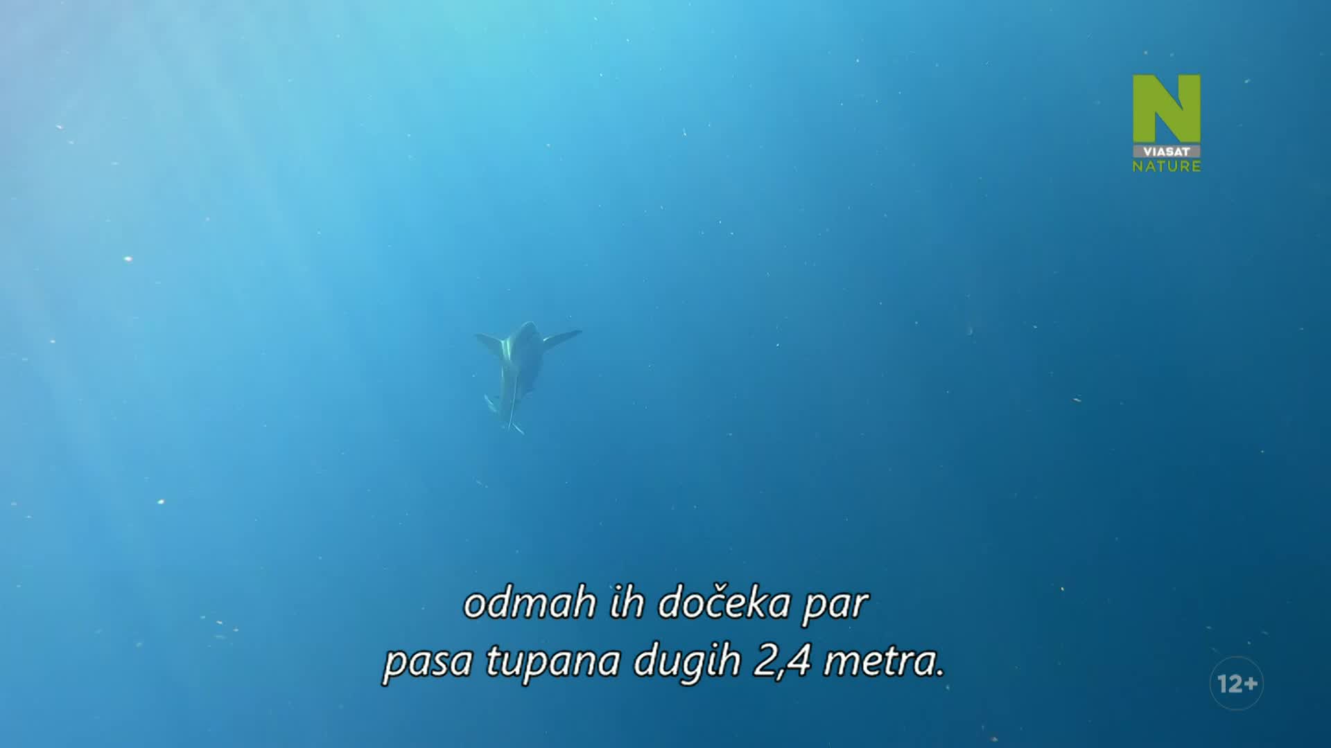ViasatNature