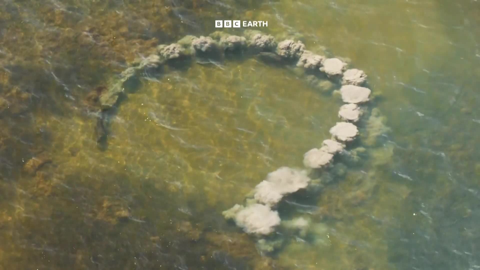 BBCEarth