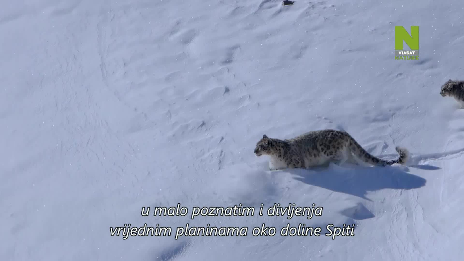 ViasatNature