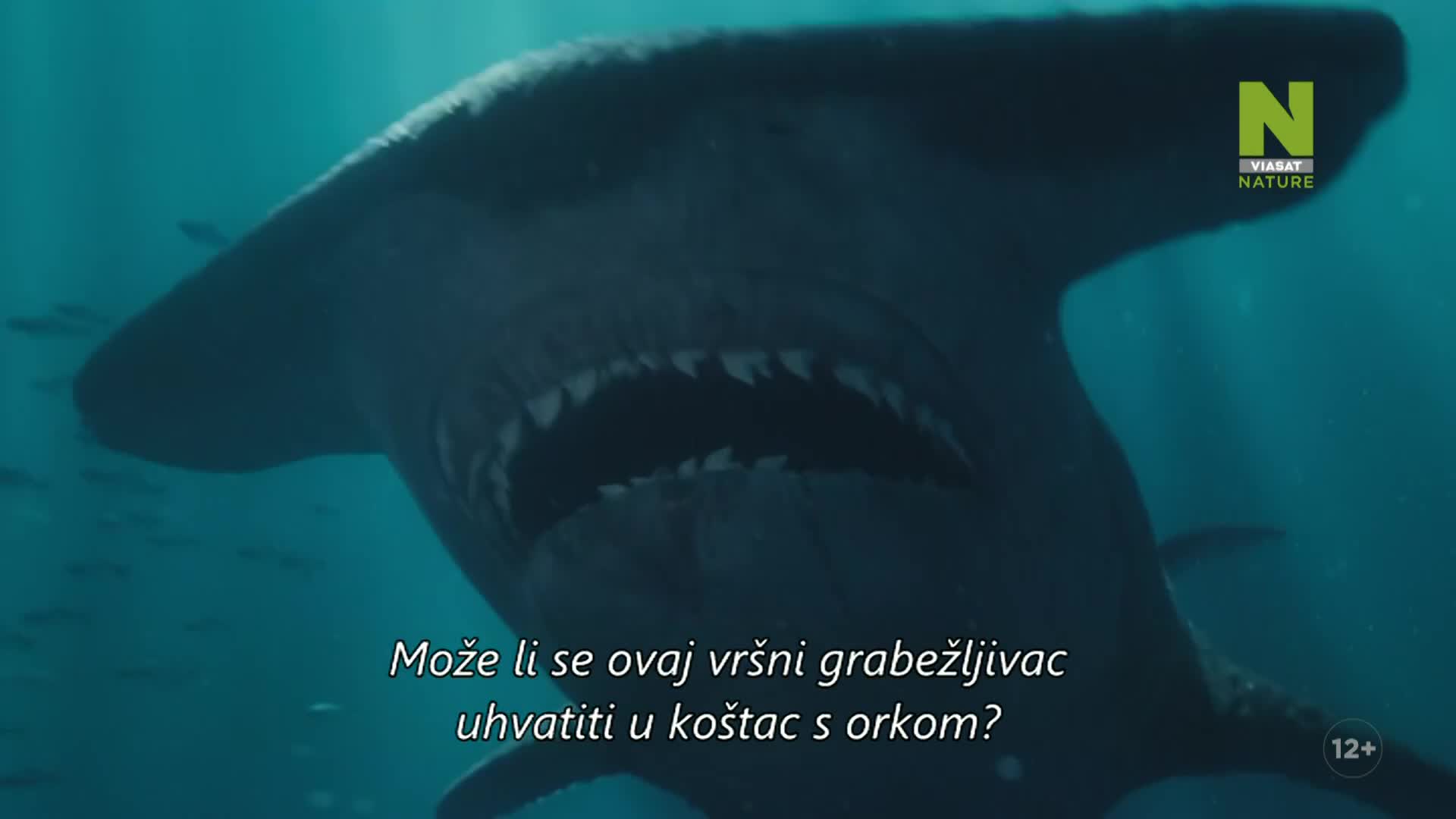 ViasatNature